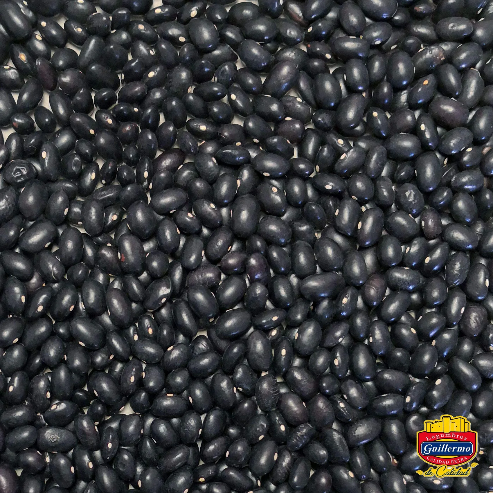 Alubia Negra Saco 500 g Calidad Extra Alto Contenido en Proteína Vegetal