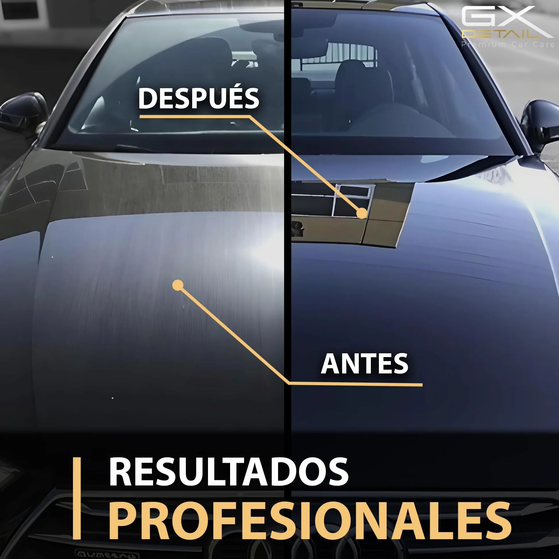 GxDetail Cera Líquida de Carnauba para Coche 5 Litros – Limpieza en Seco - Brillo Profundo y Protección Duradera – Acabado Hidrofóbico y Resistencia UV – Fácil Aplicación y Secado Rápido.