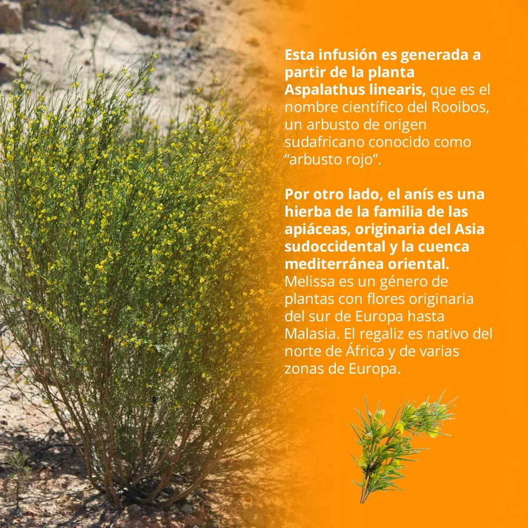 Viveza Cítrica Dulzura Infusión Rooibos con Naranja y Azahar Sin Teína Caja 15 Pirámides 37,5 gr