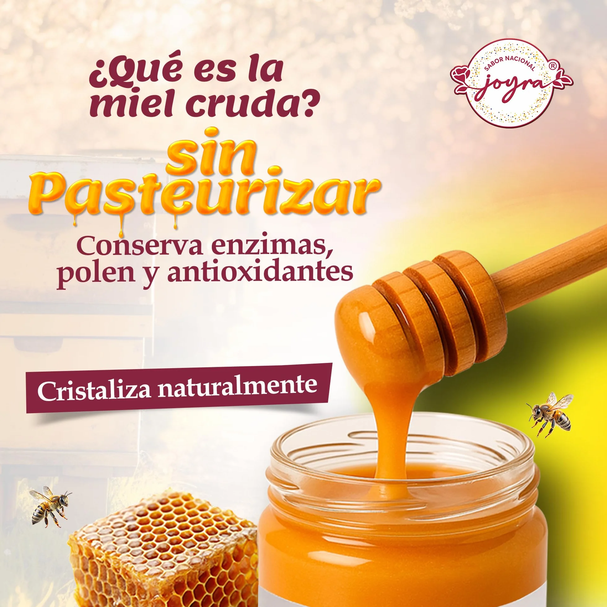 Miel Cruda 100% Pura de Abeja Natural Artesanal 27 Variedades Sabores Apicultura Española Sin Pasteurizar 1 kg Miel de Bosque
