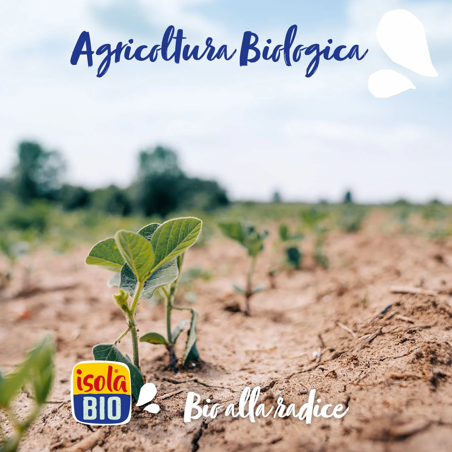 Isola Bio Bebida De Soja Bio 1 Litro 500 g
