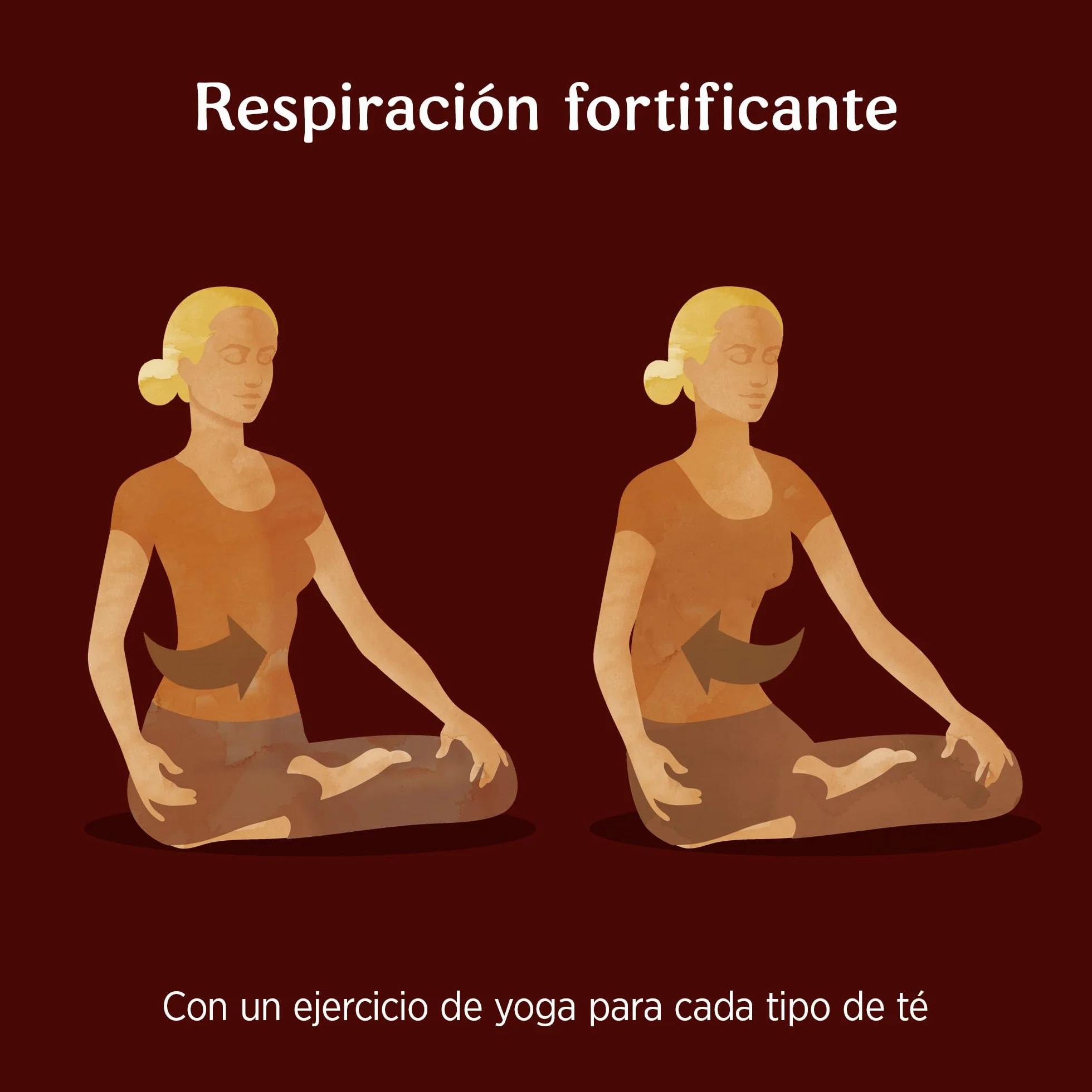 Yogi Tea Jengibre Paquete de 6 x 17 Sobres 102 Sobres