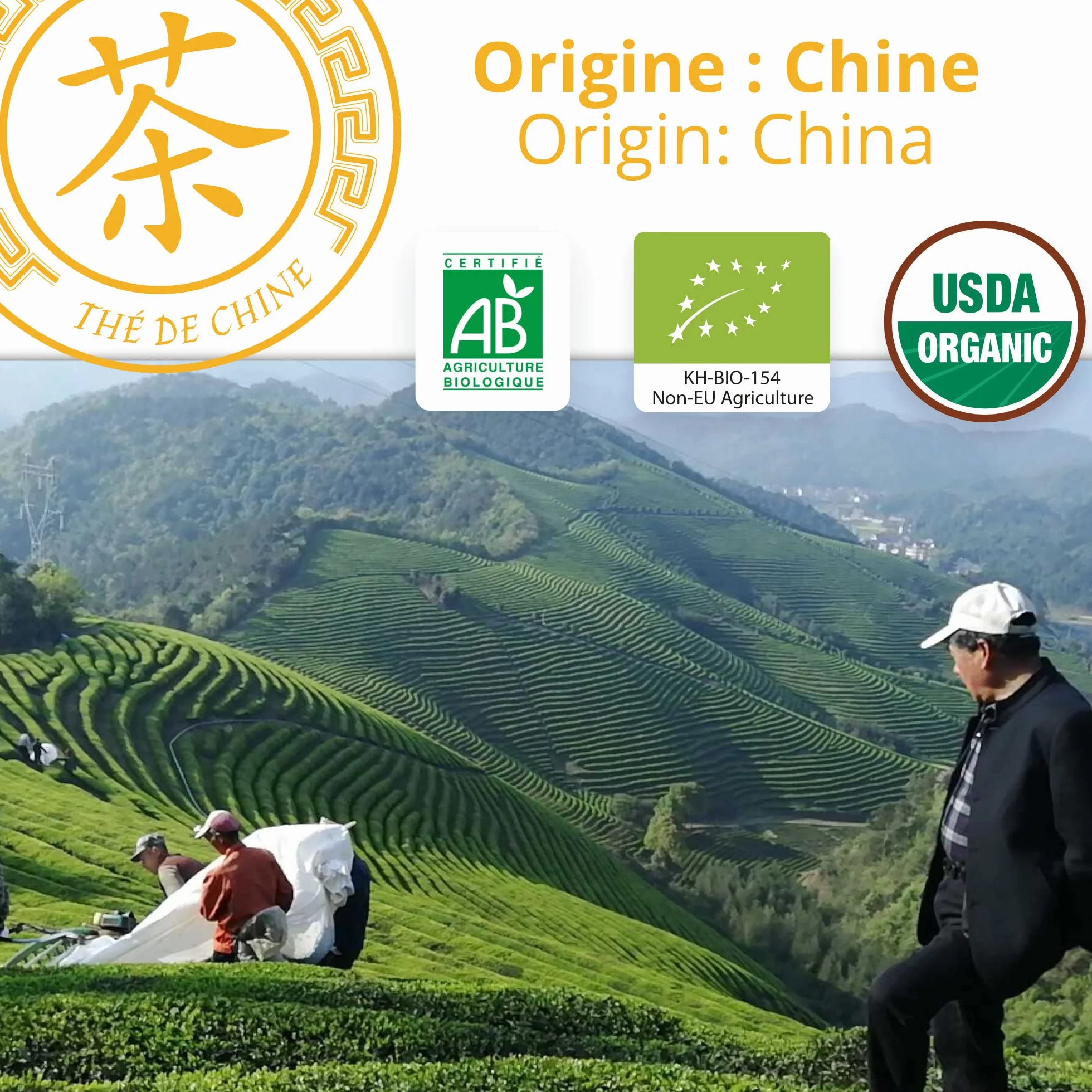 Senteur du soir Thé blanc bio regaliz 250 g Agriculture écologique KHLA