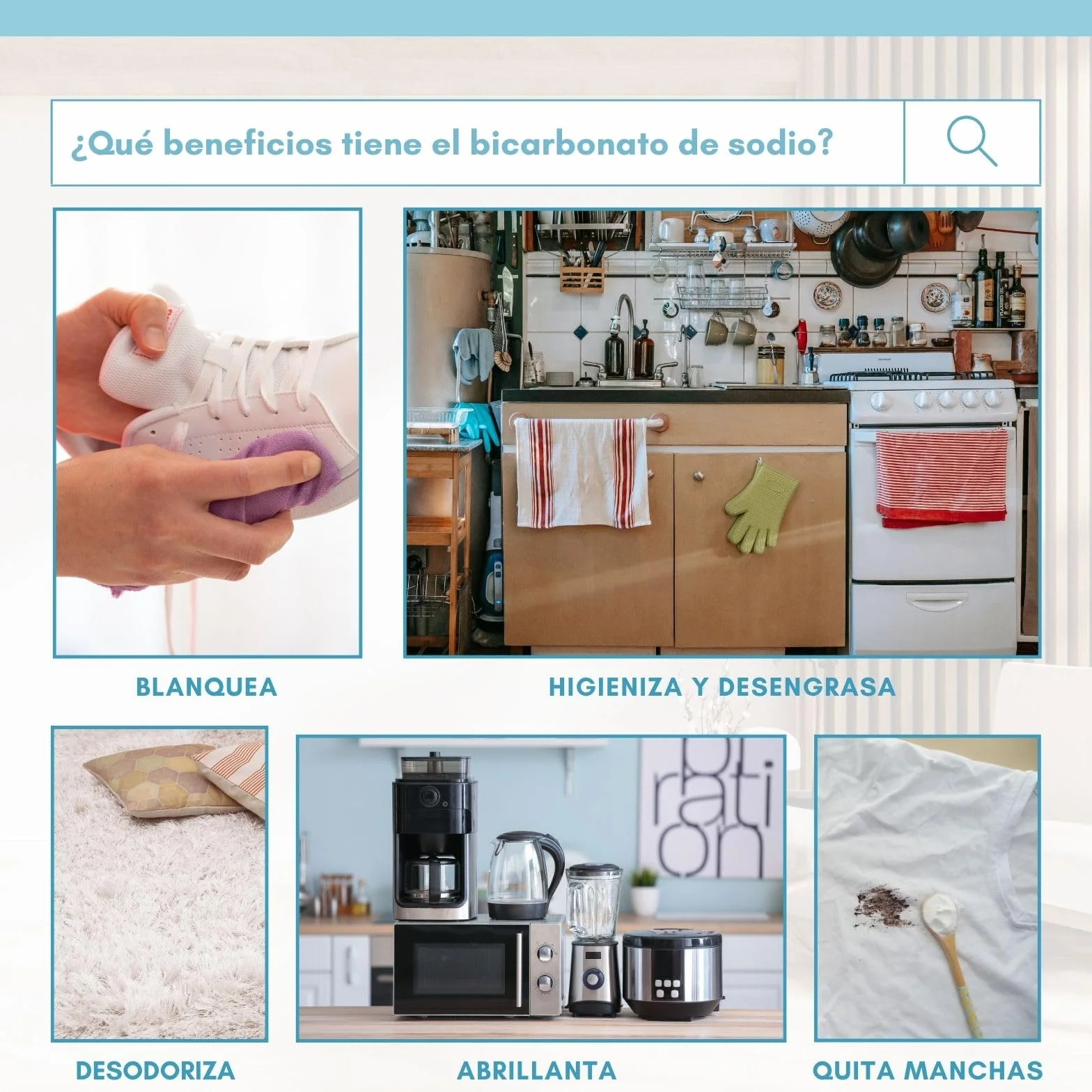 PLANTAWA Bicarbonato de Sodio 2,8kg Polvo Multiusos para Limpieza del Hogar Alta Pureza