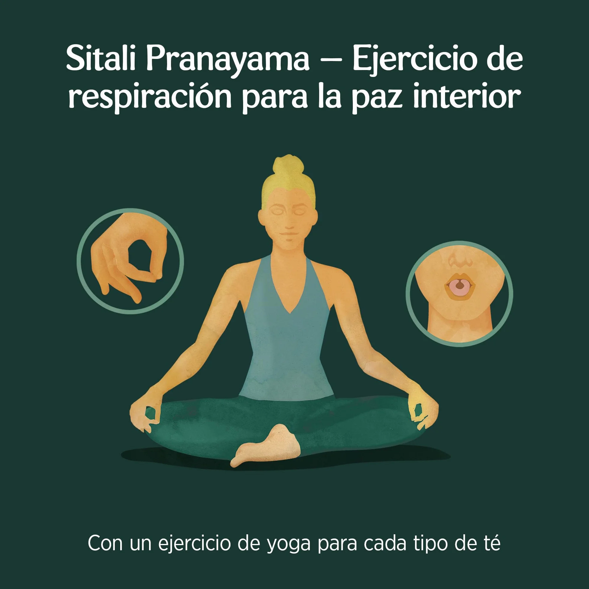 Yogi Tea Relax Infusión Ayurvédica Tila Manzanilla Rosa Canina Sin Cafeína Pack 3x17 bolsitas