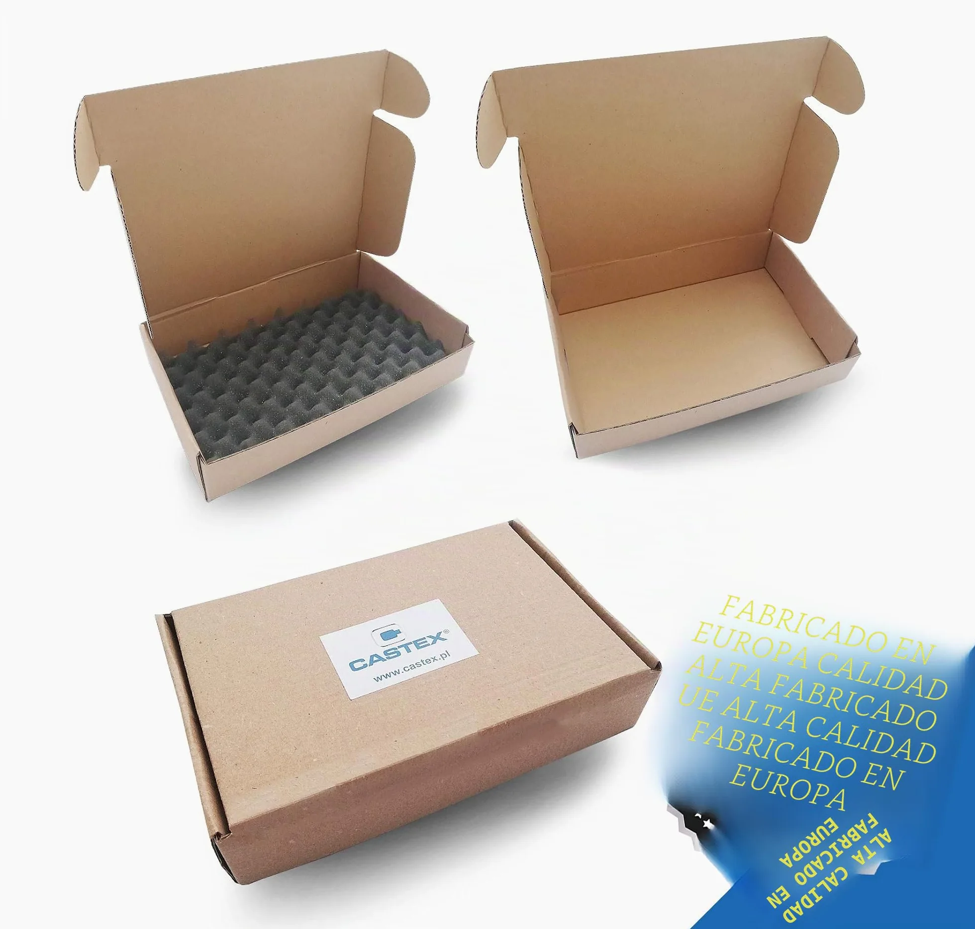 CASTEX Herramienta de Ajuste de Motor Juego de Calado de distribución Kit de Calado de Distribución para Coche compatibile con Renault Nissan Opel 1.6, 2.0 - Made in EU
