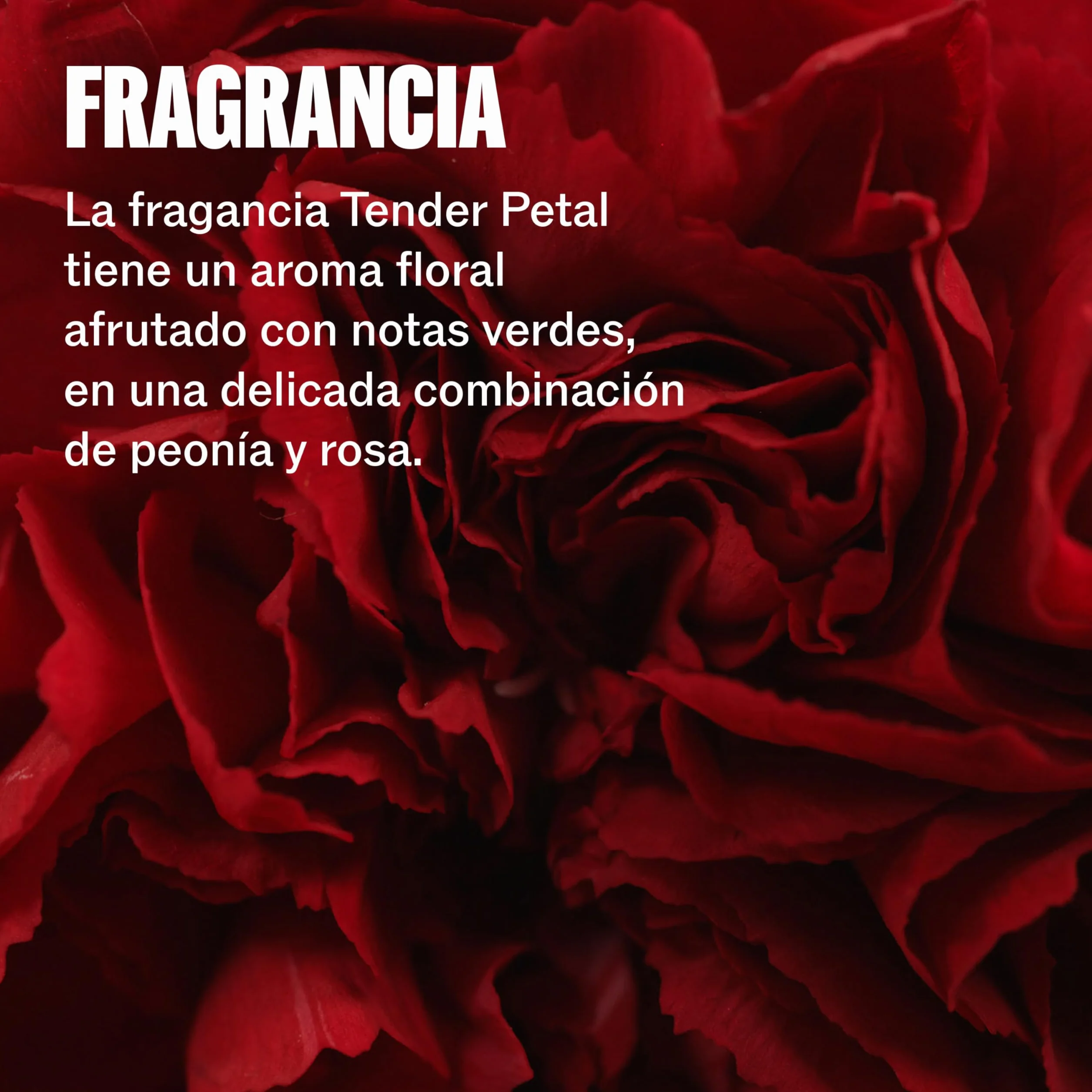 Wella Professionals ULTIMATE REPAIR Champú Profesional para Cabello Dañado