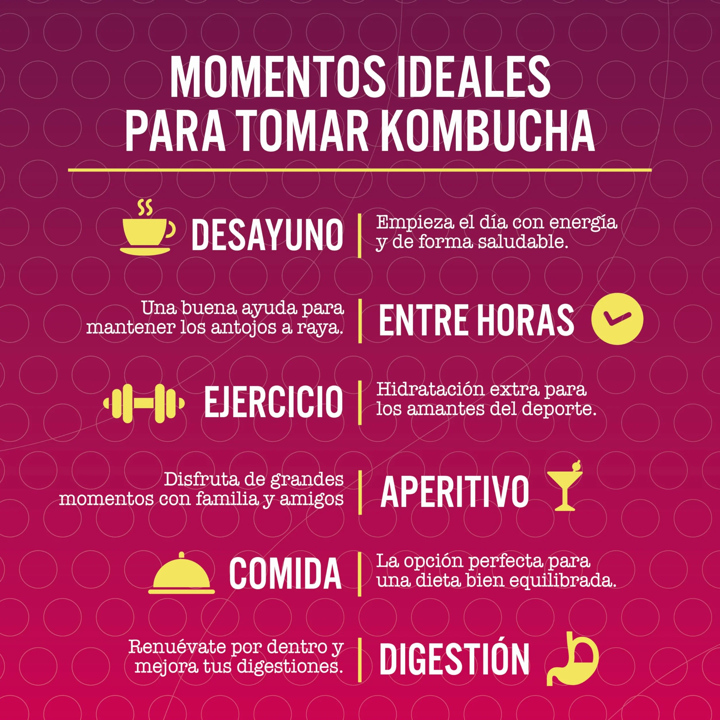Kombucha Natural Onflow Sin Azúcar Sabor Frutos Rojos Pack 12 Latas x 250 ML