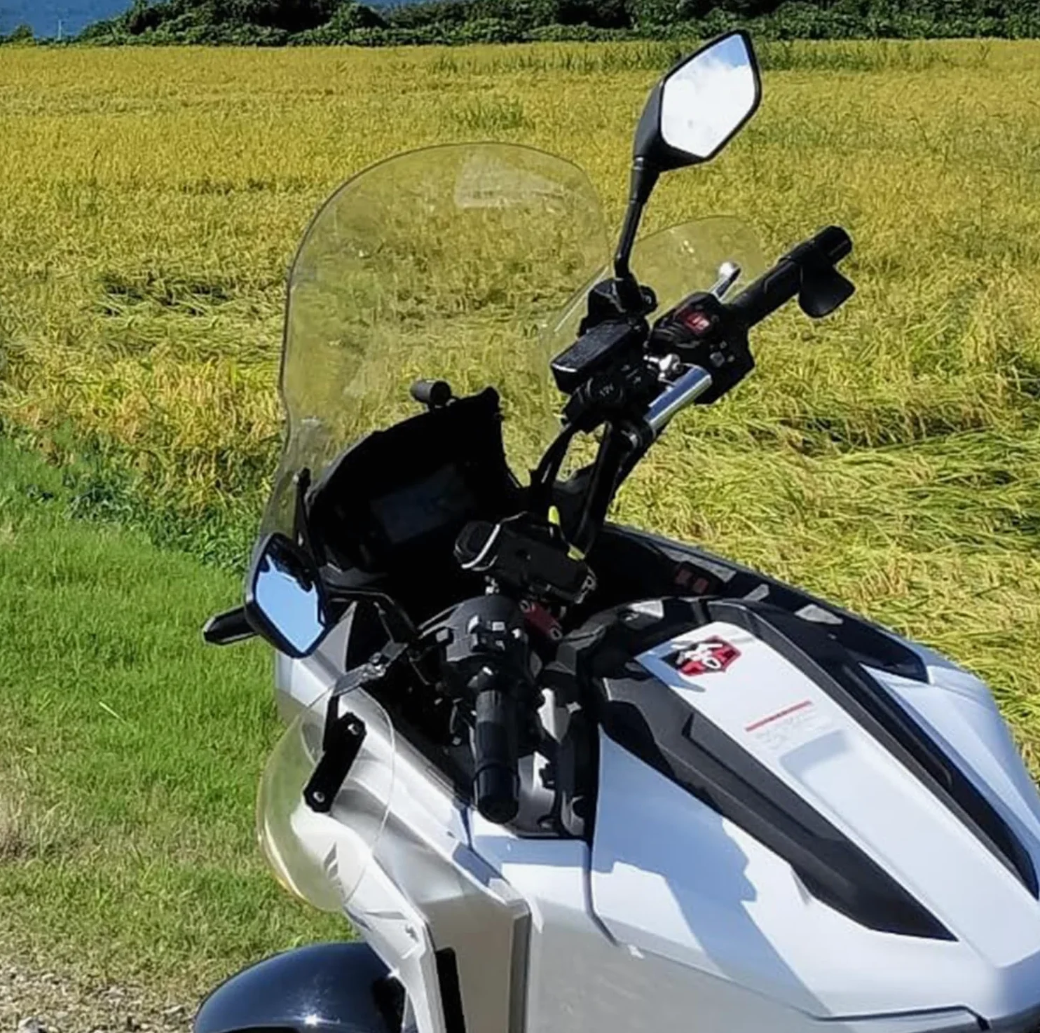 Cúpula Parabrisas para moto NC750X NC 750X 2021 2022 2023 2024 Aire Protección Vidro Carenado (Claro)