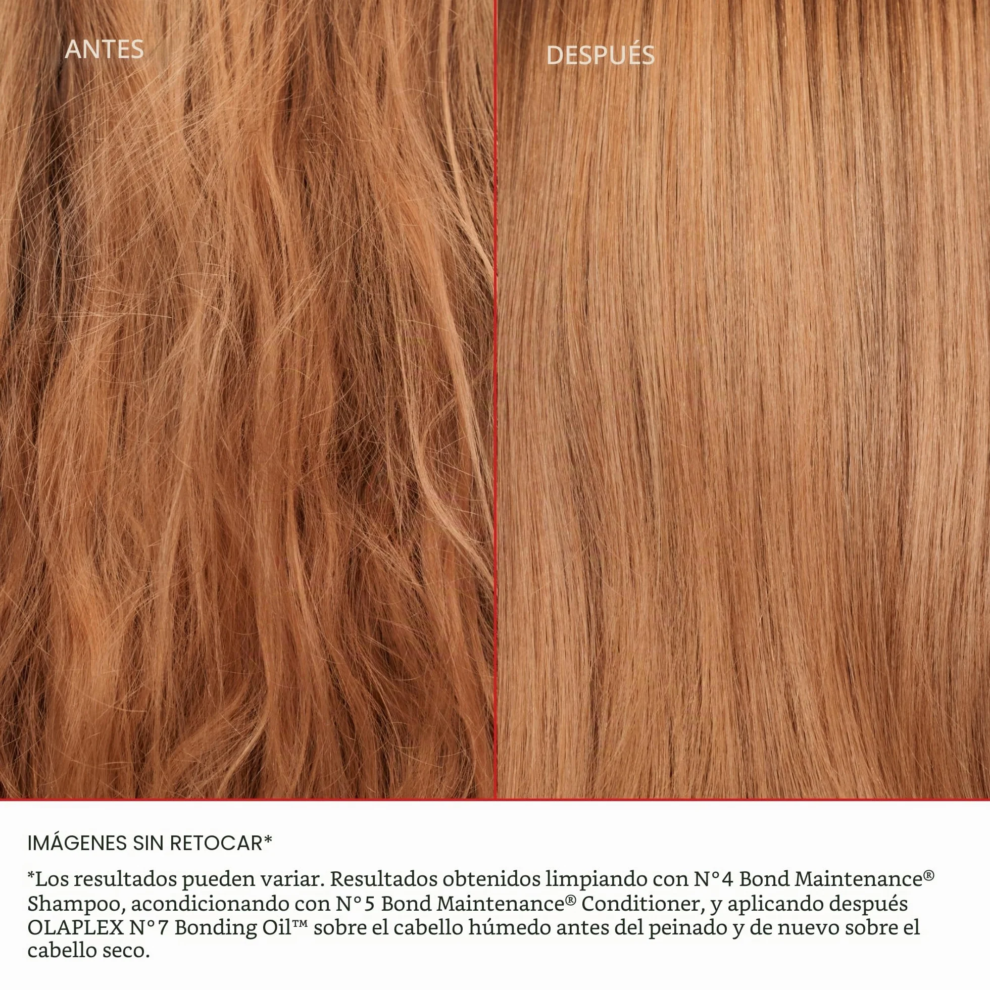 Healthy Hair Discovery Set