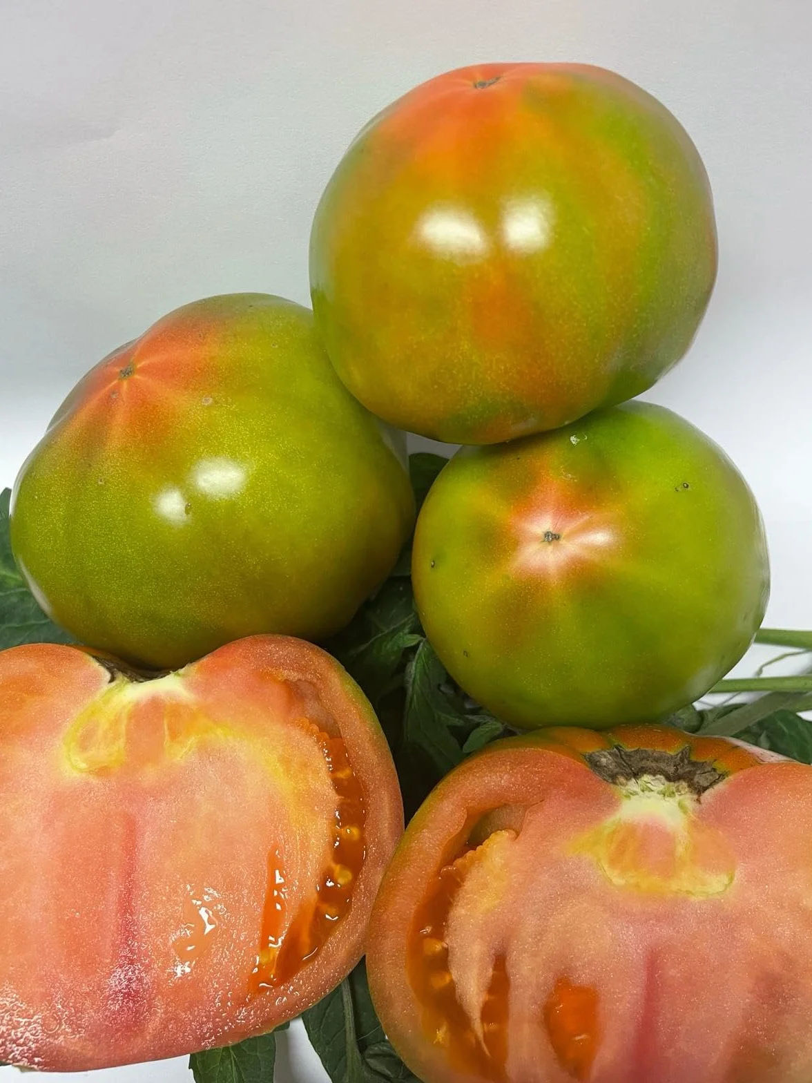 Optima Tomate Ecologico Valenciano