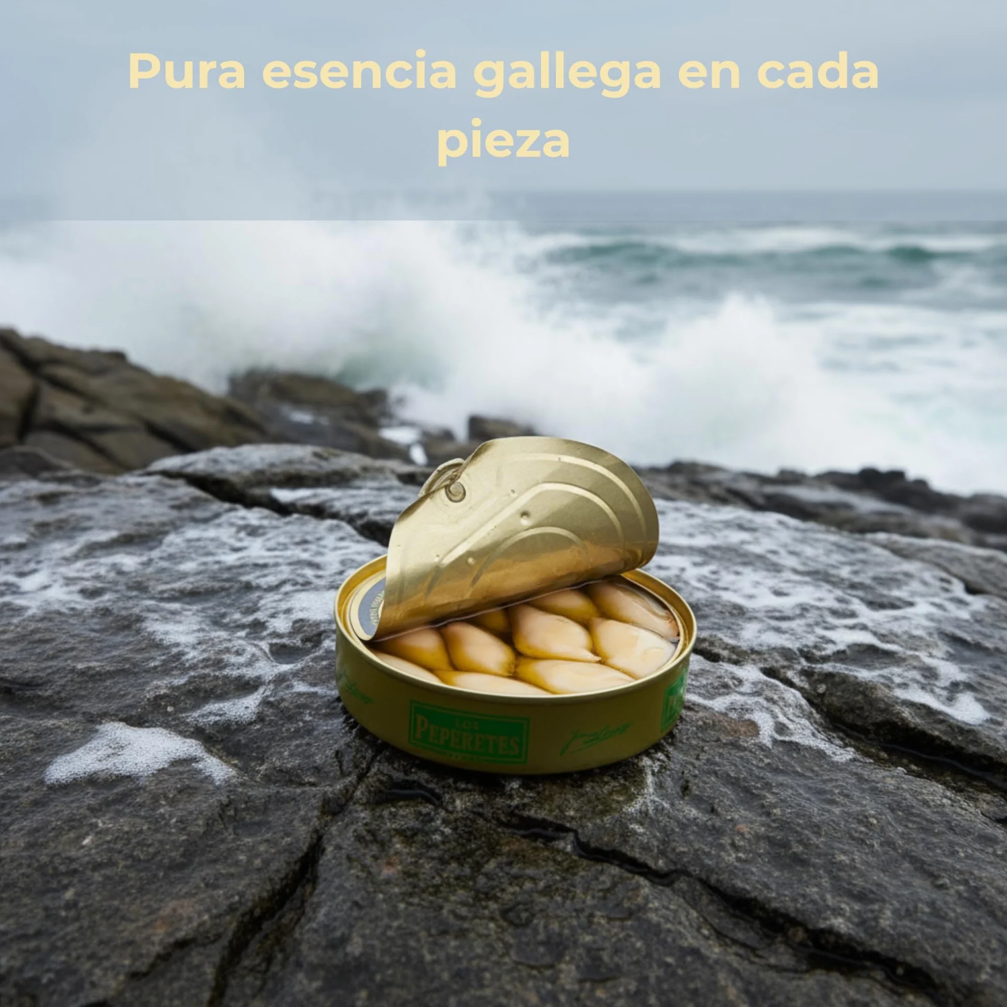 LOS PEPERETES x3 Lata Chipirones en Aceite de Oliva 120 g | Marisco Gallego Gourmet | Conserva Artesanal del Atlántico con Aceite de Oliva Virgen Extra