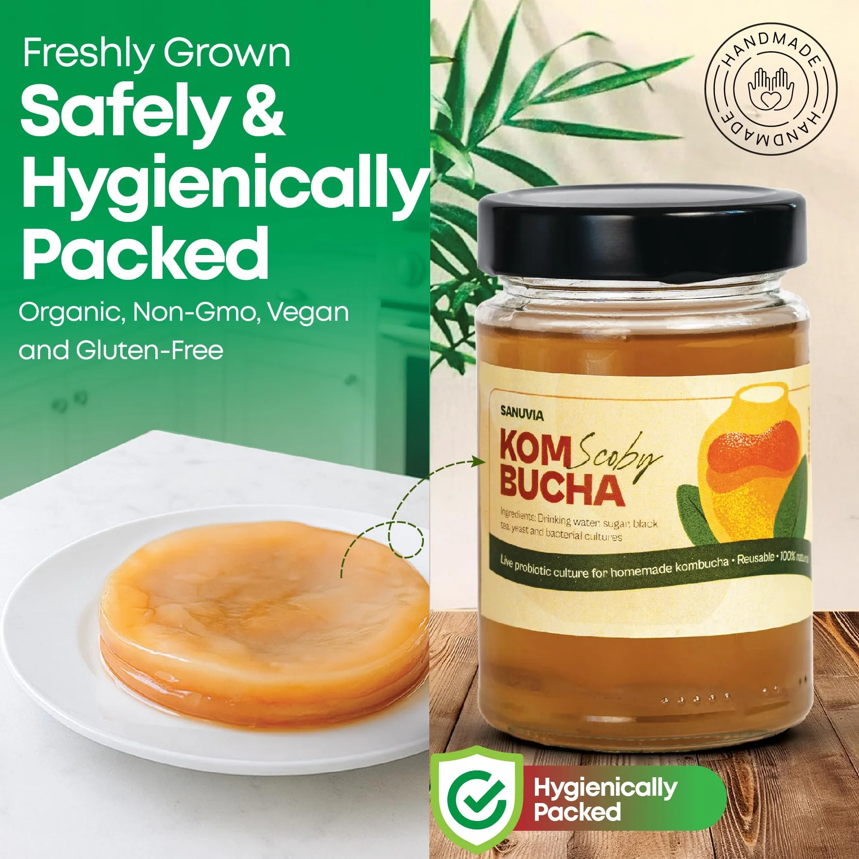 SANUVIA Kombucha SCOBY Starter Culture – Hongo de té con 300 ml de té iniciador en frasco de vidrio – Vegano, cultivo vivo, reutilizable