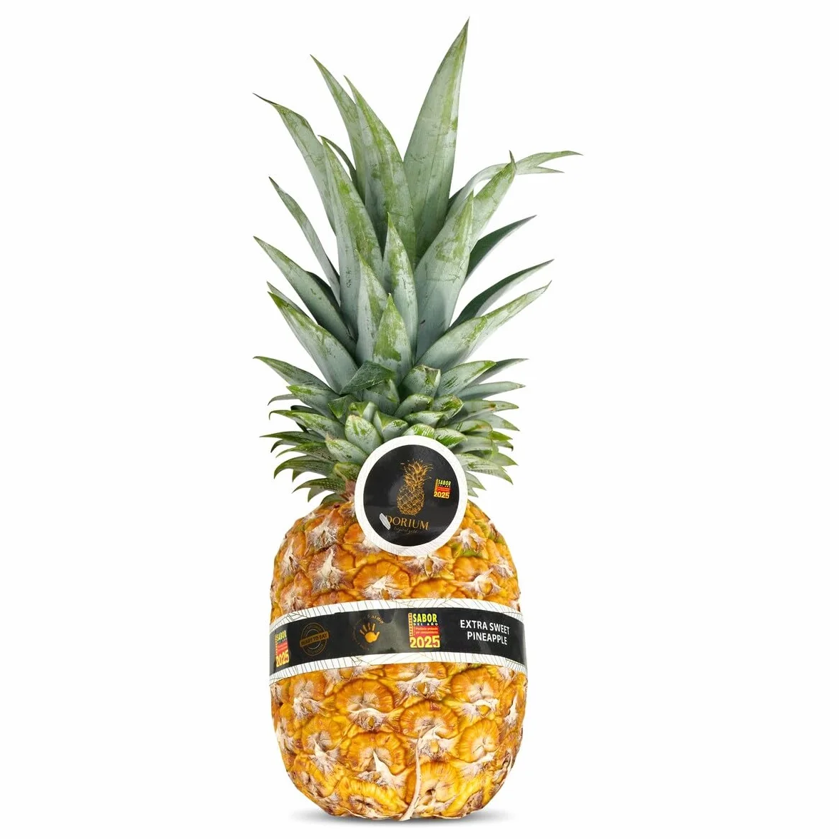 Piña gold 1.6 Kg
