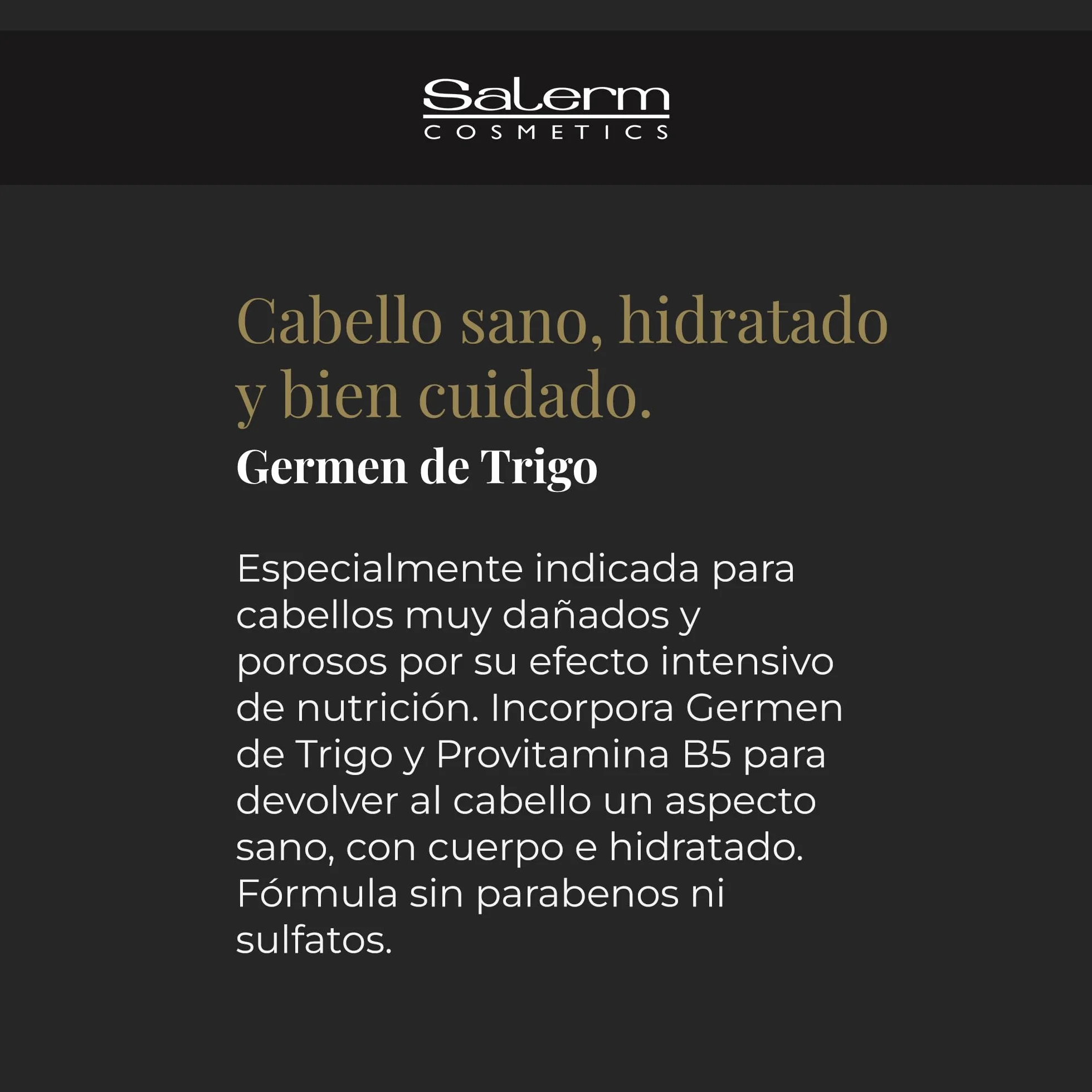 SALERM Hair Lab Mascarilla Nutritiva para el Pelo 250 ml con Germen de Trigo