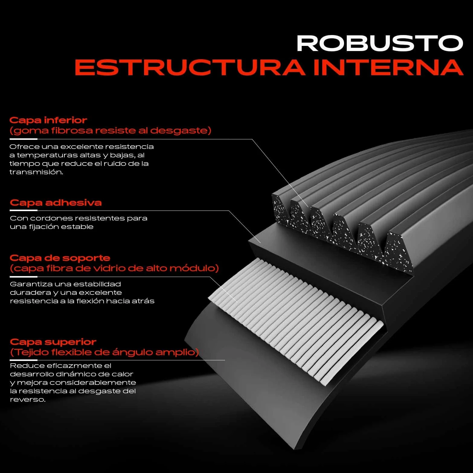 Frankberg Kit de correa de distribución correa de distribución bomba de | Compatible con: Clase B W245, Clase A W169