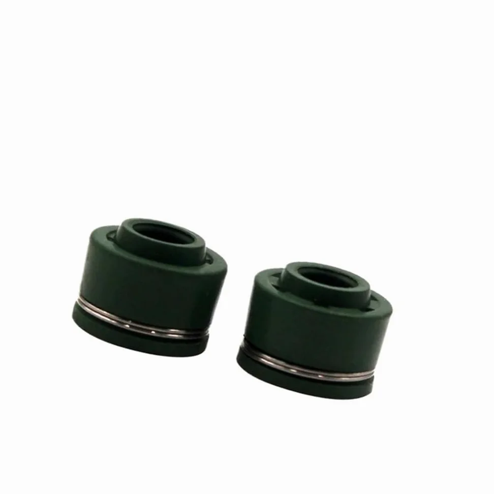 Kit de válvulas y retenes de Aceite for Motor de Motocicleta, Compatible con DR250 AN250 (1990-1995, 1998-2007)(1 Pair)