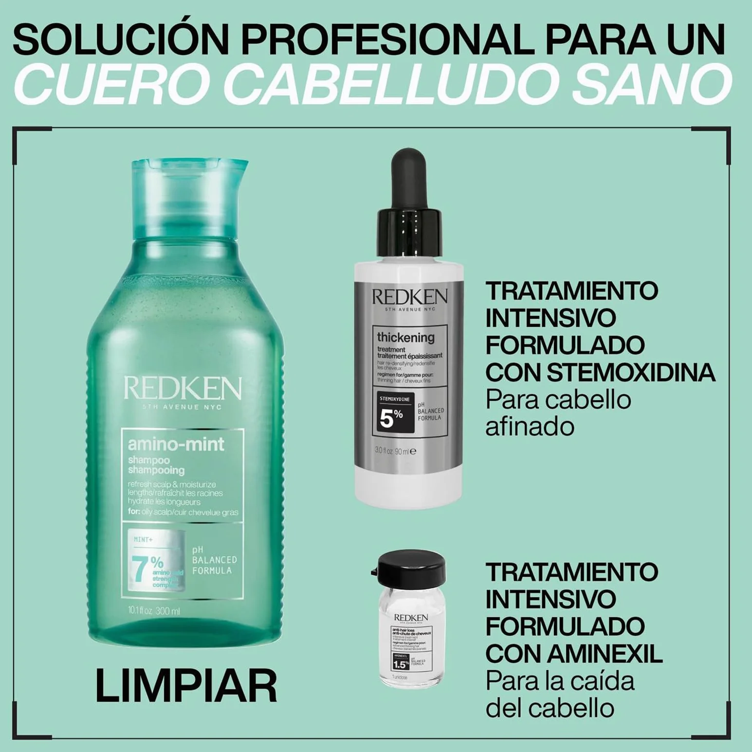 Redken Champú de Menta Anti Grasa 300 ml