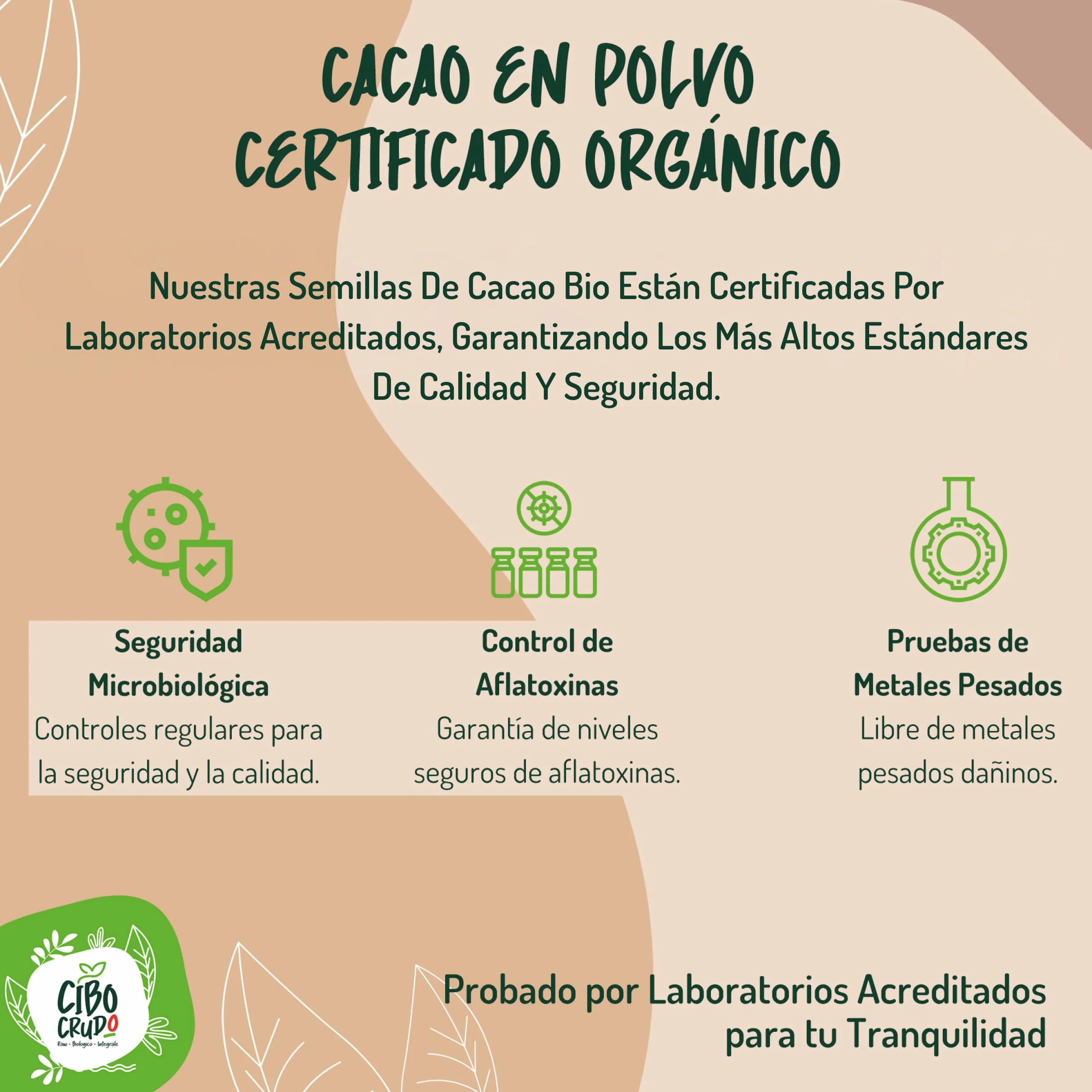 Granos de Cacao Crudo Orgánico 250g - Cacao Puro de Guatemala, Grano o Nibs 100% Natural