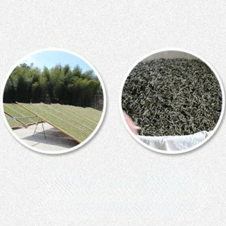 Fuding Té Blanco Jazmín Desgarrado A Mano 150g