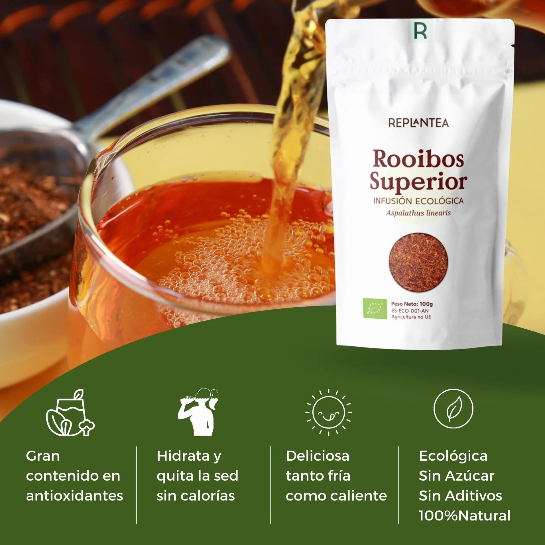 Té Rooibos Orgánico REPLANTEA® Superior 100g (50 Tazas) a Granel