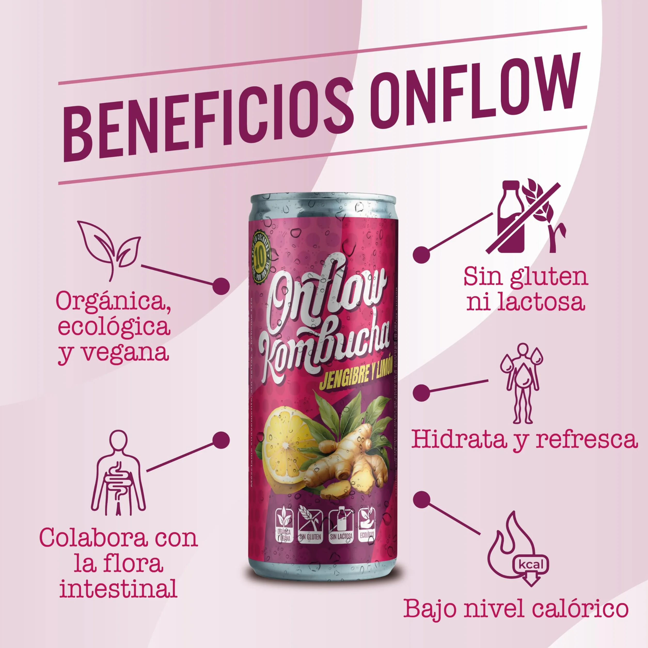 Kombucha Natural Onflow Sin Azúcar Sabor Frutos Rojos Pack 12 Latas x 250 ML
