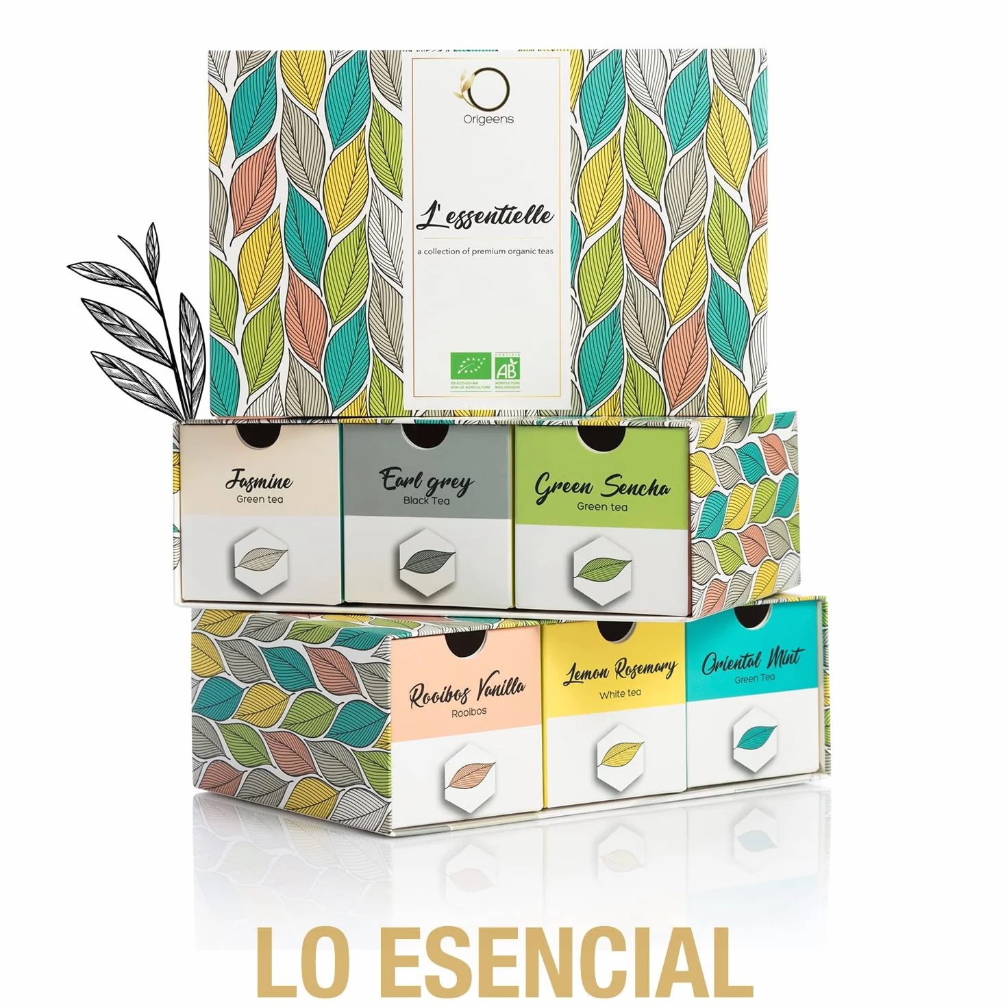 ORIGEENS TE ORGANICO Caja té Orgánico Surtido premium 6 sabores Caja Regalo 48 bolsitas piramidales