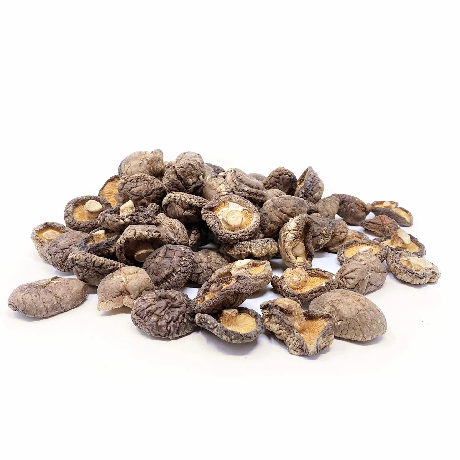 Scherini Valtellina Shiitake deshidratado 200g