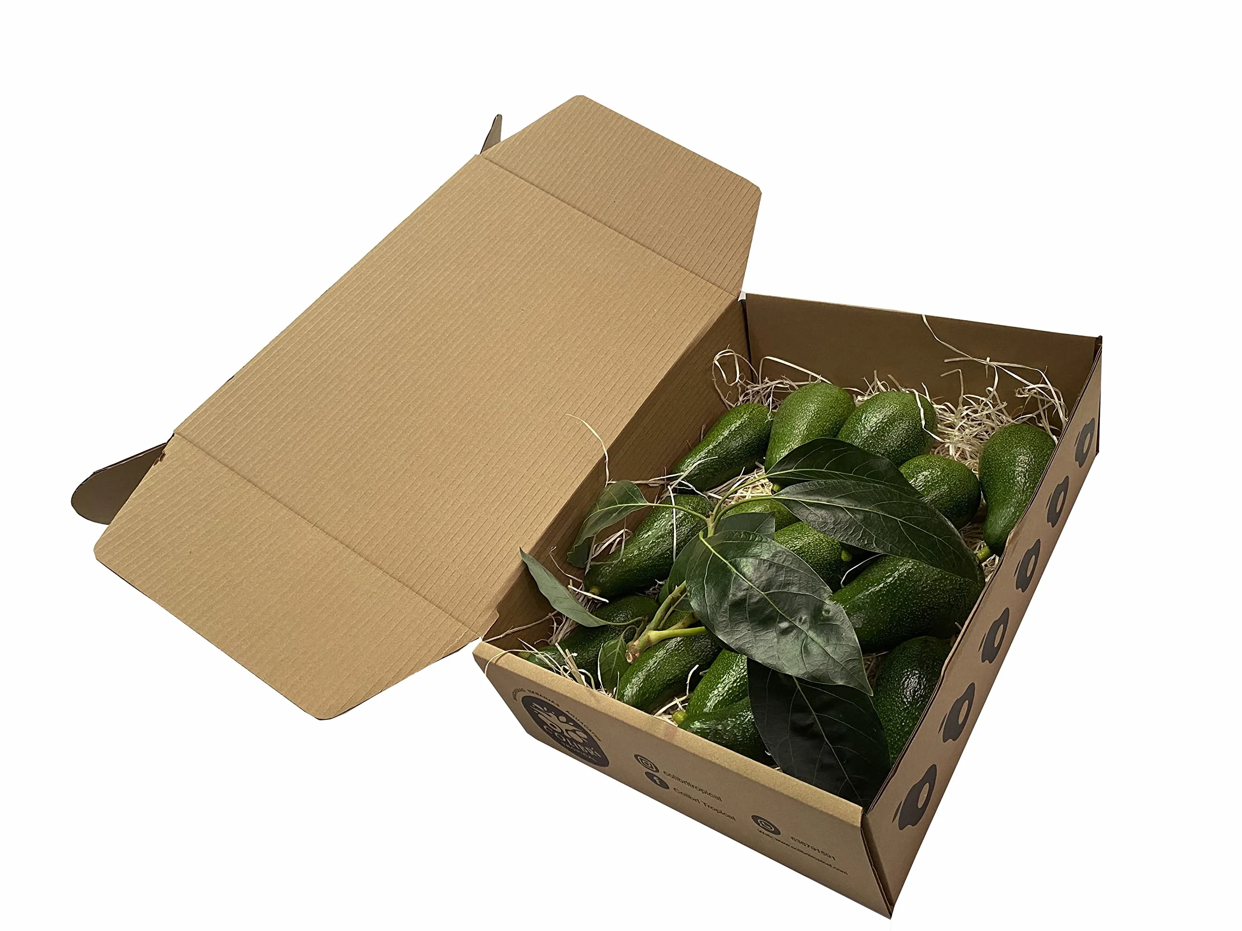 Aguacate Fuerte 4Kg Ecológico