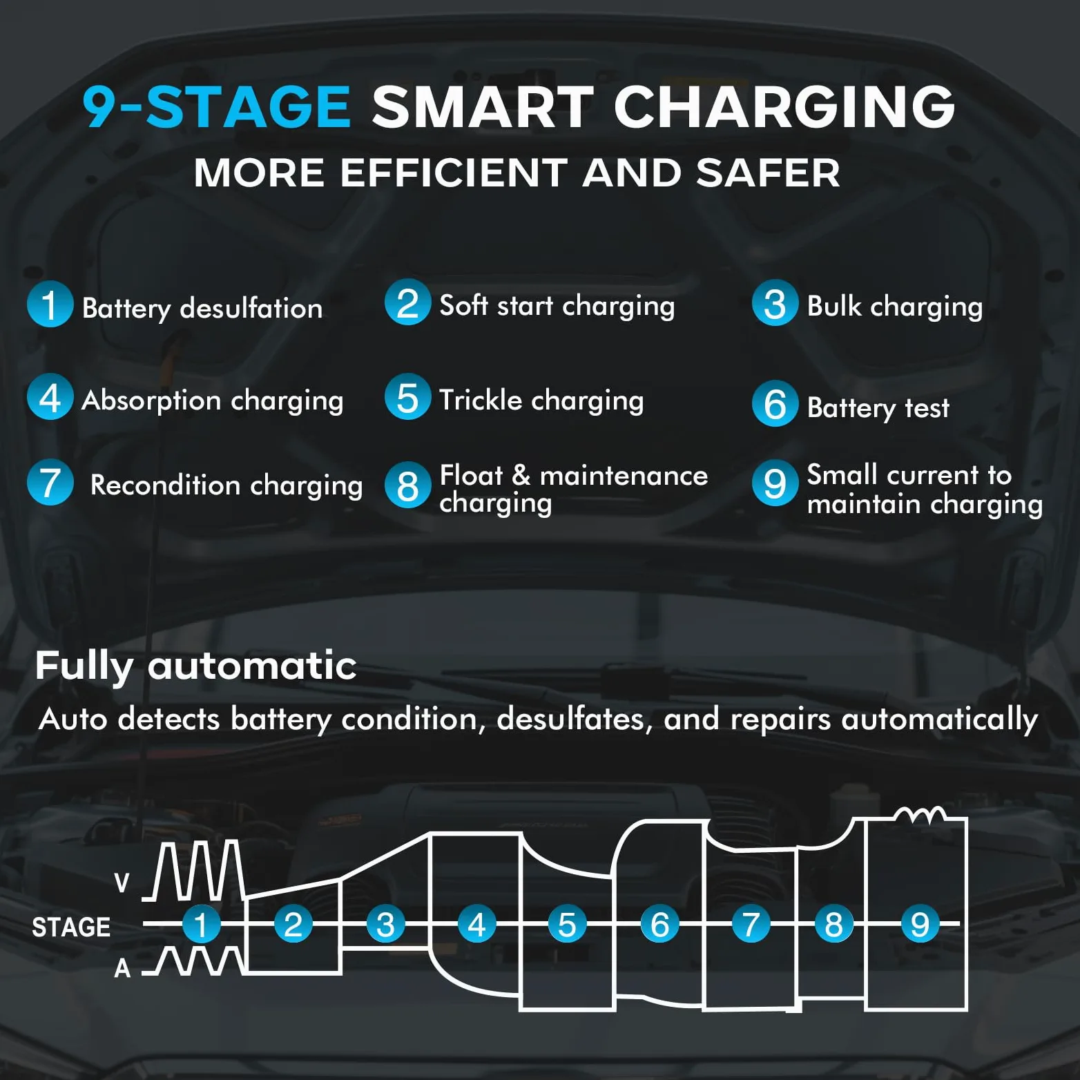 45A 6V/12V/24V Autobatterieladegerät-Haisito Intelligentes Ladegerät mit LCD-Display, Batteriepfleger,Erhaltungsladung&Entsulfatierung für AGM,Lithi,LiFePO4,Blei-Säure(Motorrad Wohnmobil, Caravan)