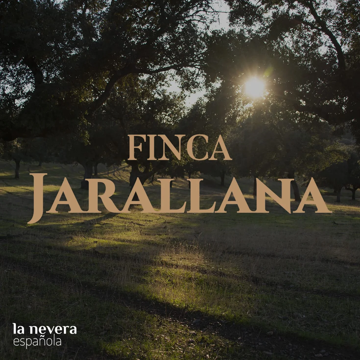Finca Jarallana Surtido Ibérico Pack Embutidos 5 Platos 100 g Secado Natural
