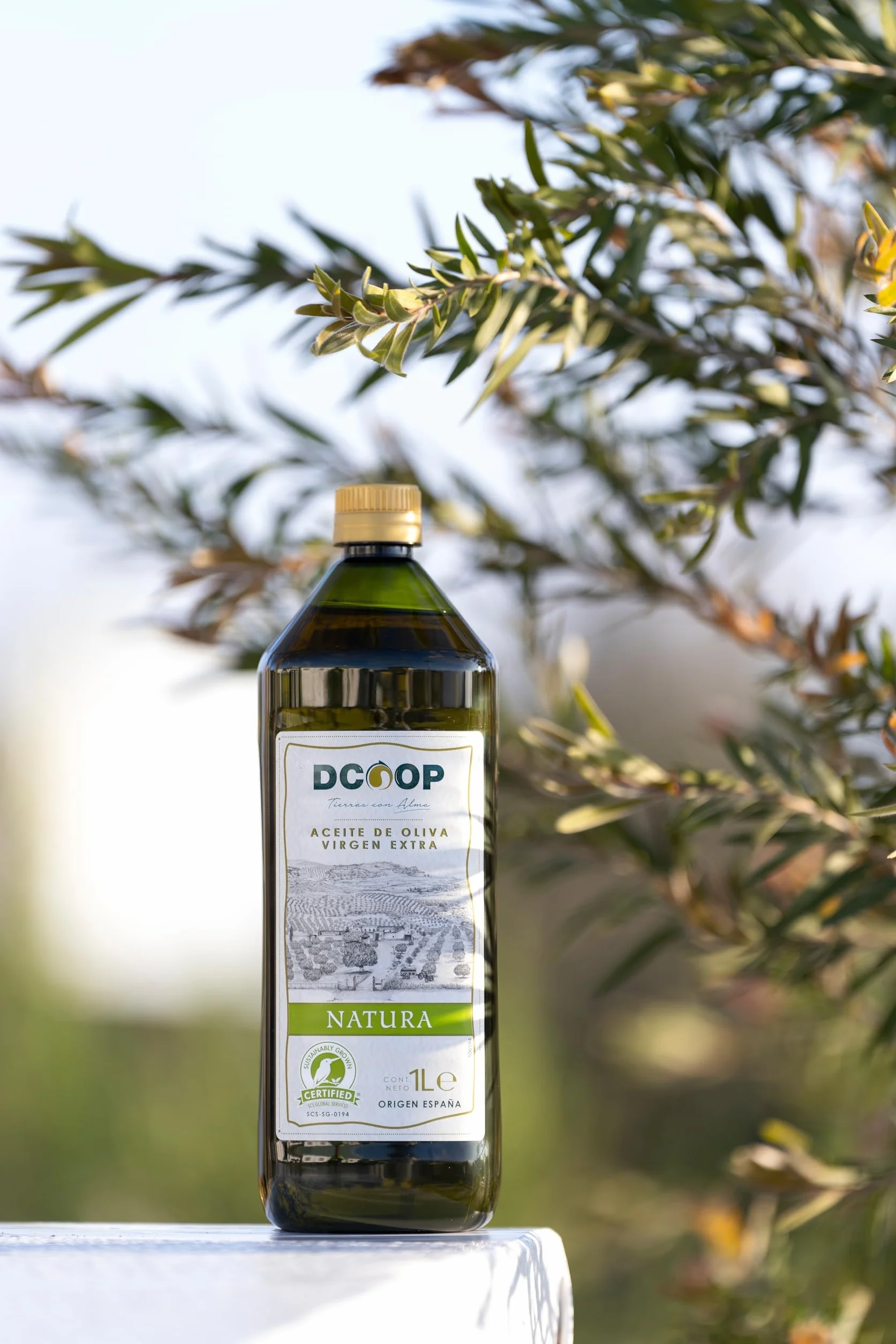 Aceite de Oliva Virgen Extra DCOOP 1 Litro Botella PET