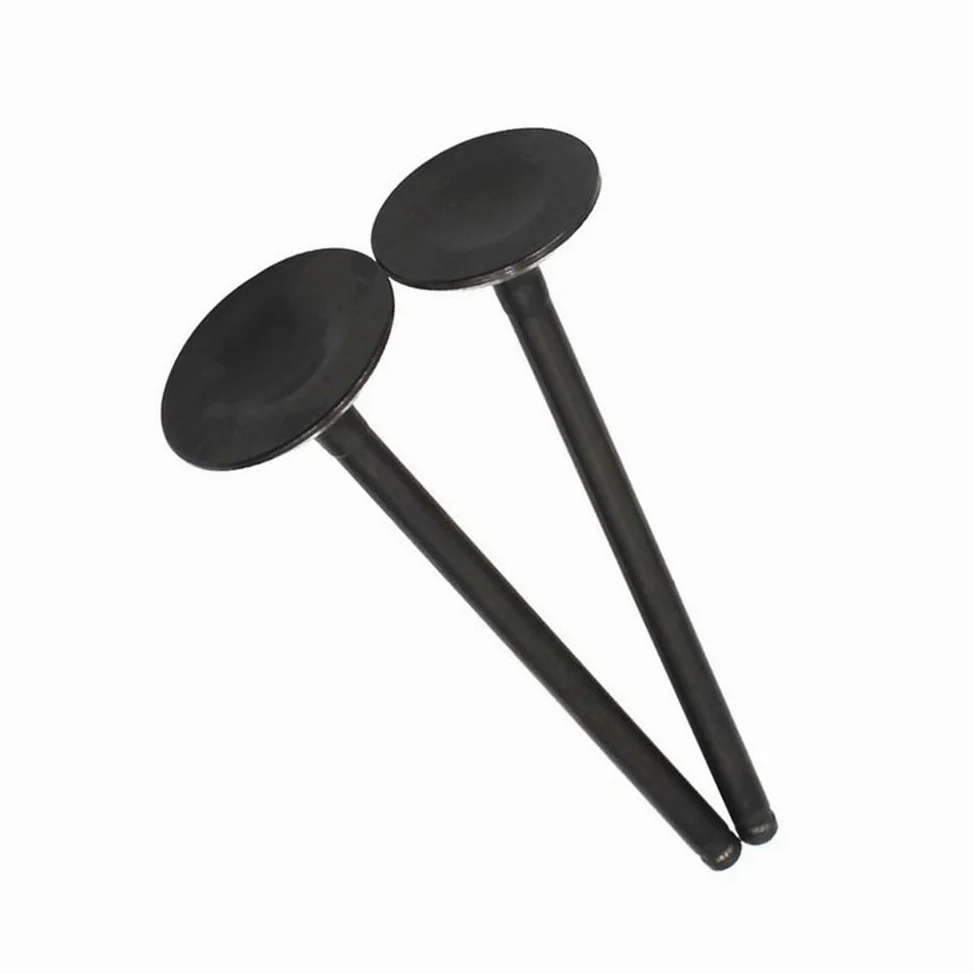 Kit de válvulas y retenes de Aceite for Motor de Motocicleta, Compatible con DR250 AN250 (1990-1995, 1998-2007)(1 Pair)