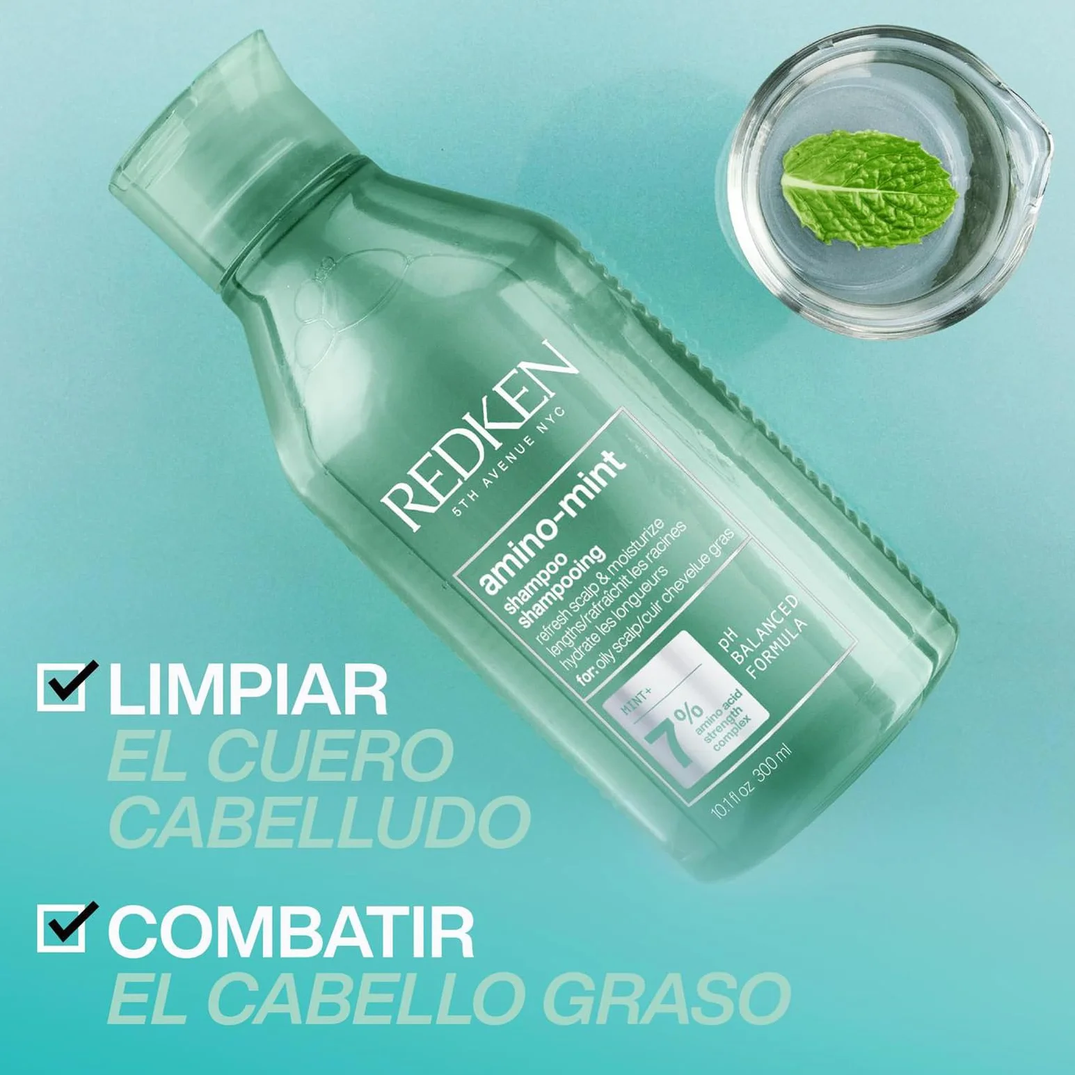 Redken Champú de Menta Anti Grasa 300 ml