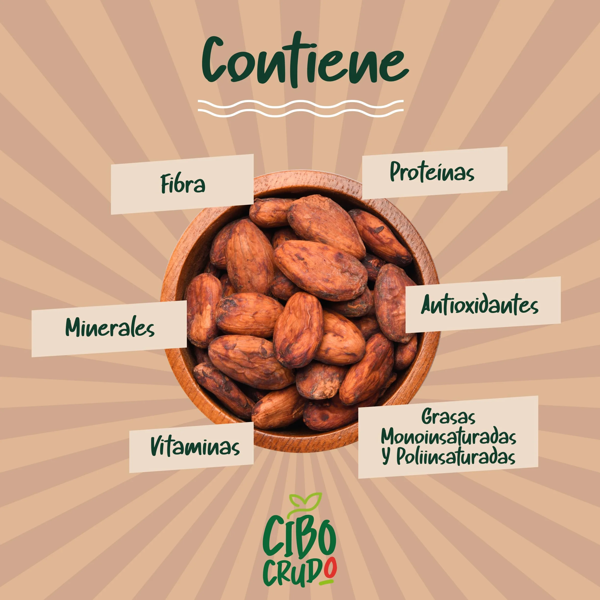 Granos de Cacao Crudo Orgánico 250g - Cacao Puro de Guatemala, Grano o Nibs 100% Natural