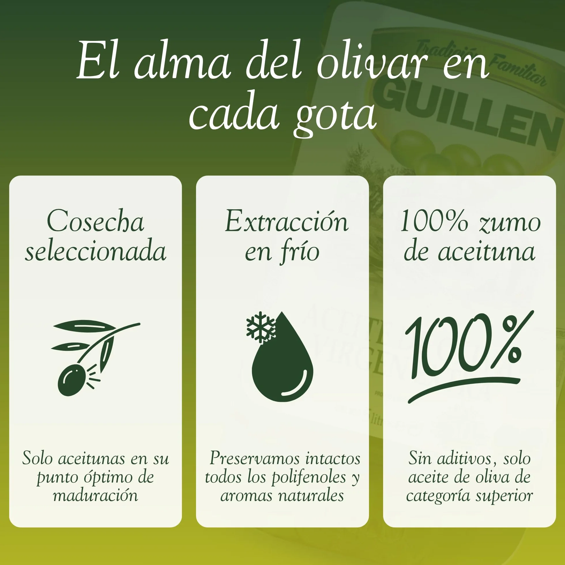 Aceite de Oliva Virgen Extra Garrafa 5 L Guillén