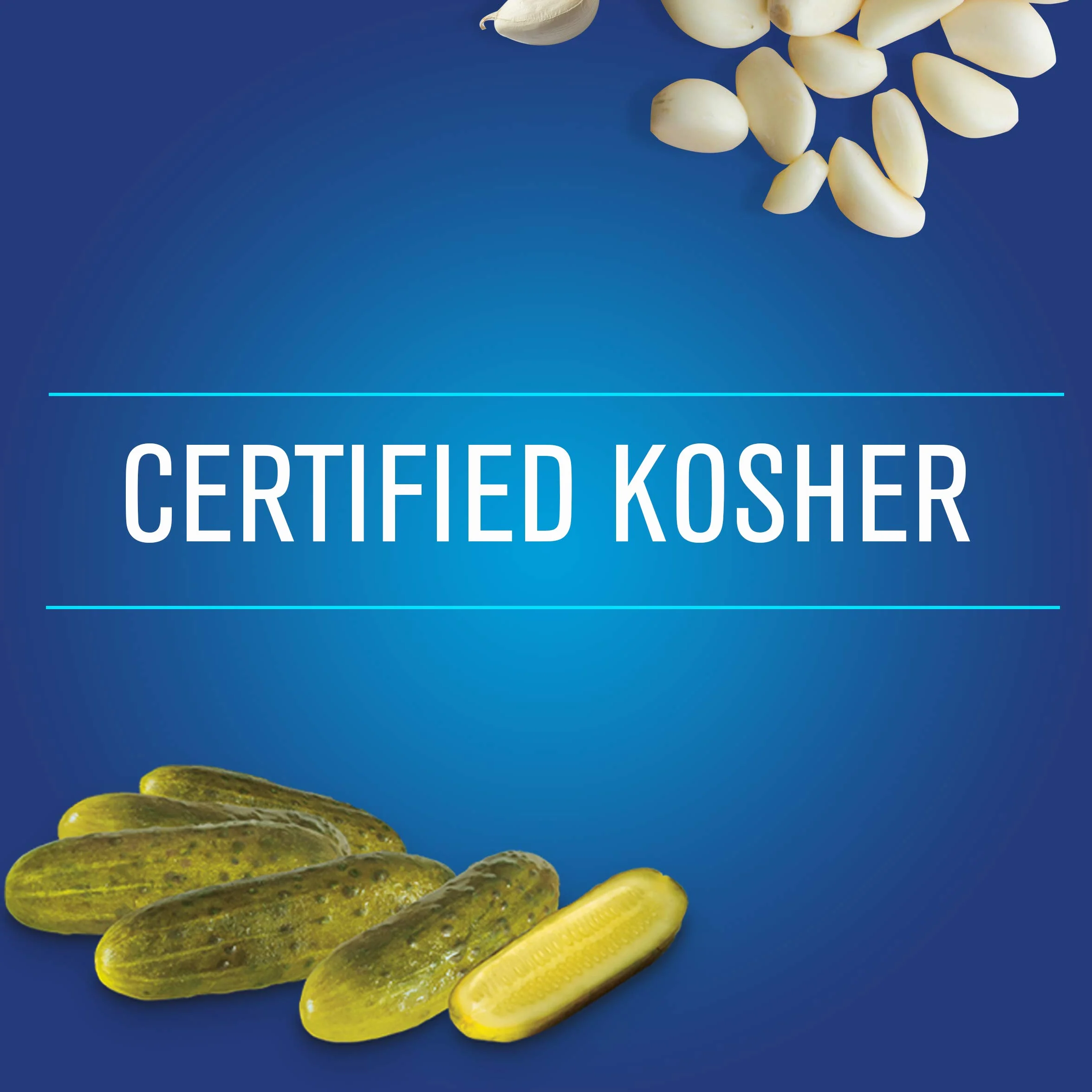Vlasic Apiladores de pepinillos eneldo Kosher 16 onzas