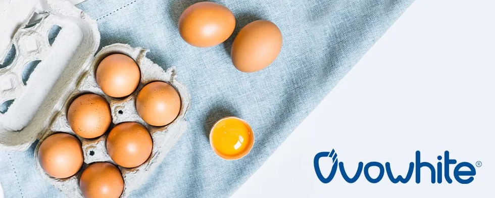 Proteina Instant clara huevo en polvo Eggs 100% natural Shake 800g Rich Chocolate