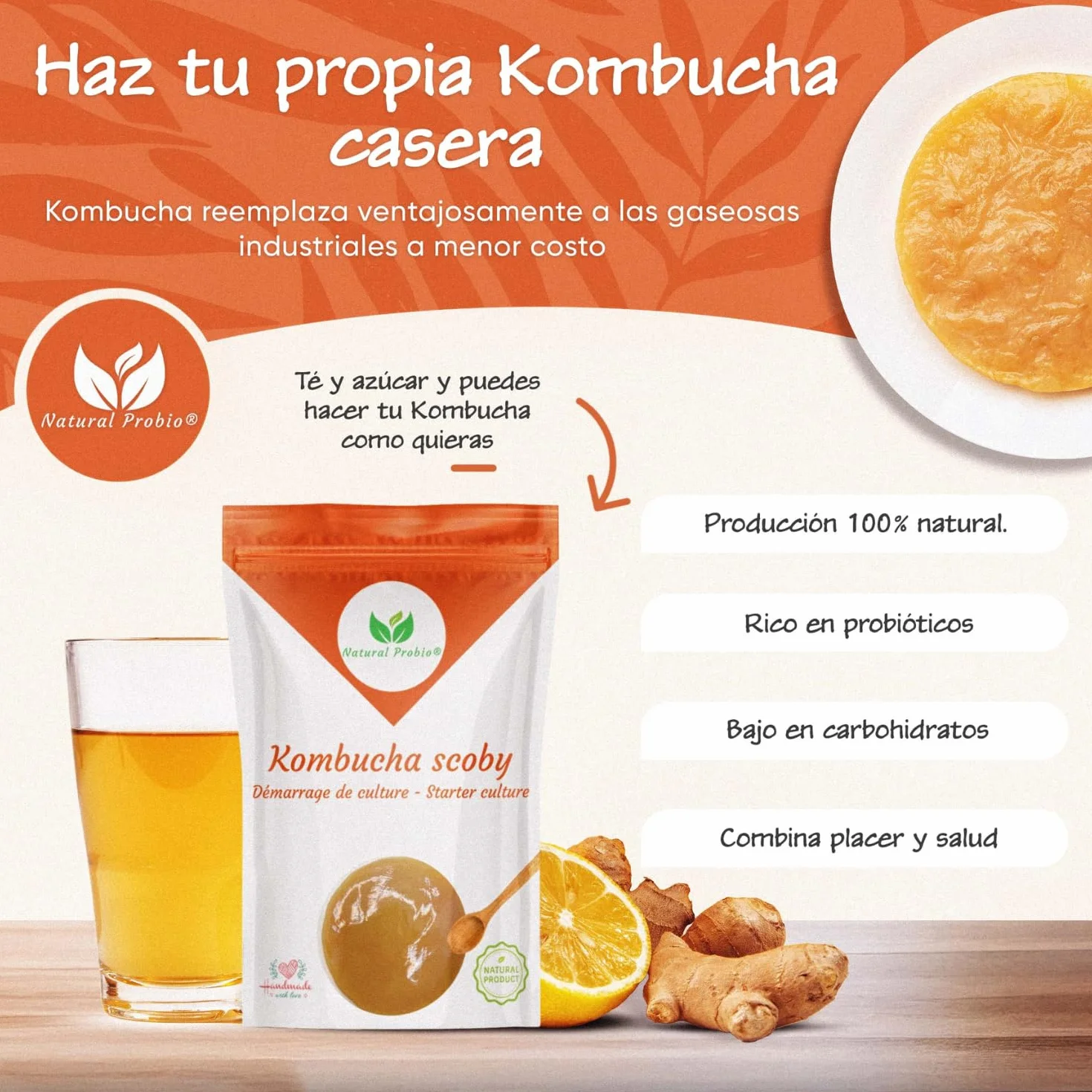 Natural Probio Original Kombucha Scoby Kit de inicio cultivo auténtica cepa madre instrucciones receta consejos