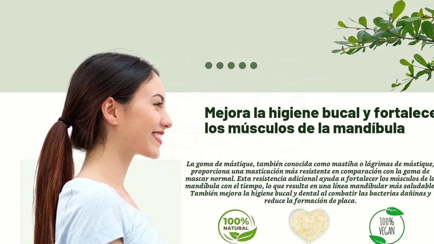 Chios Mastiha Tears Gum Greek 100% Natural 20g