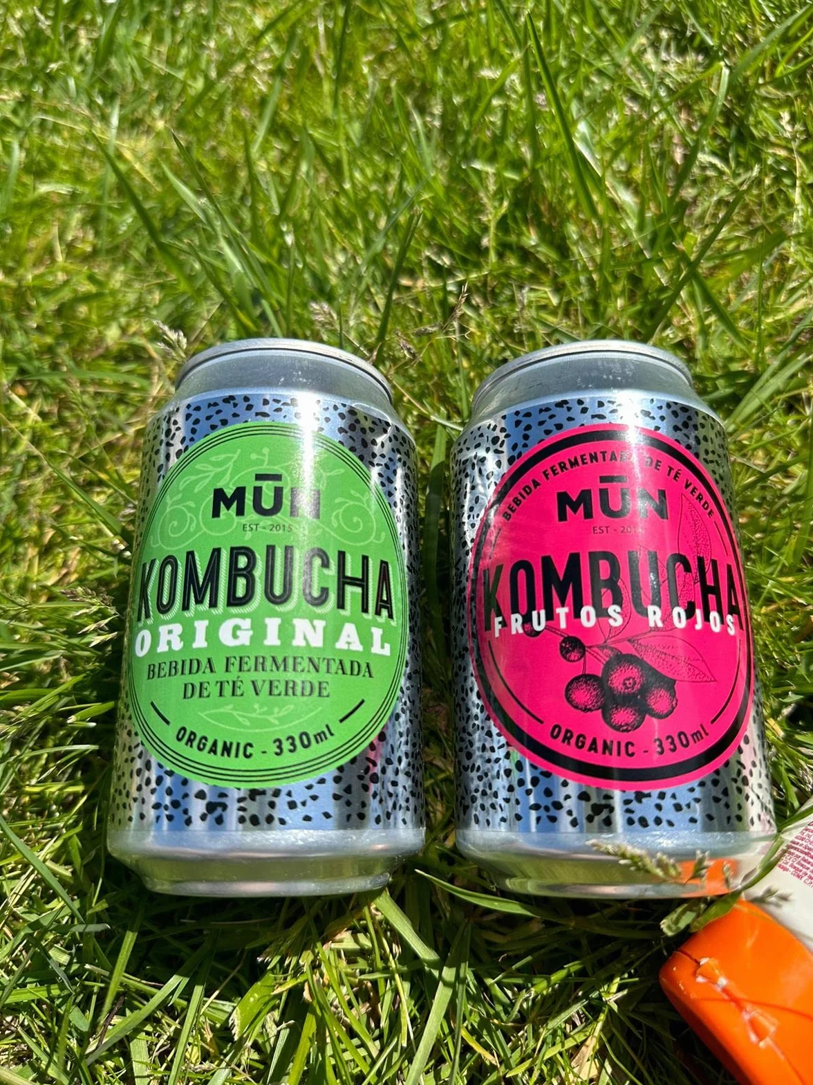 Mūn Ferments Kombucha Pack Mix 12x330ml - Bebida Ecológica Con Probióticos - Té Verde Sin Azúcar