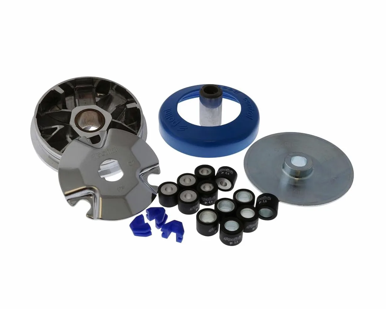Variador original POLINI con 2 kits de rodillos de 4,4 g y 5,6 g nuevo para ciclomotores Ciao Si Bravo Boxer Grillo Boss Eco CBA