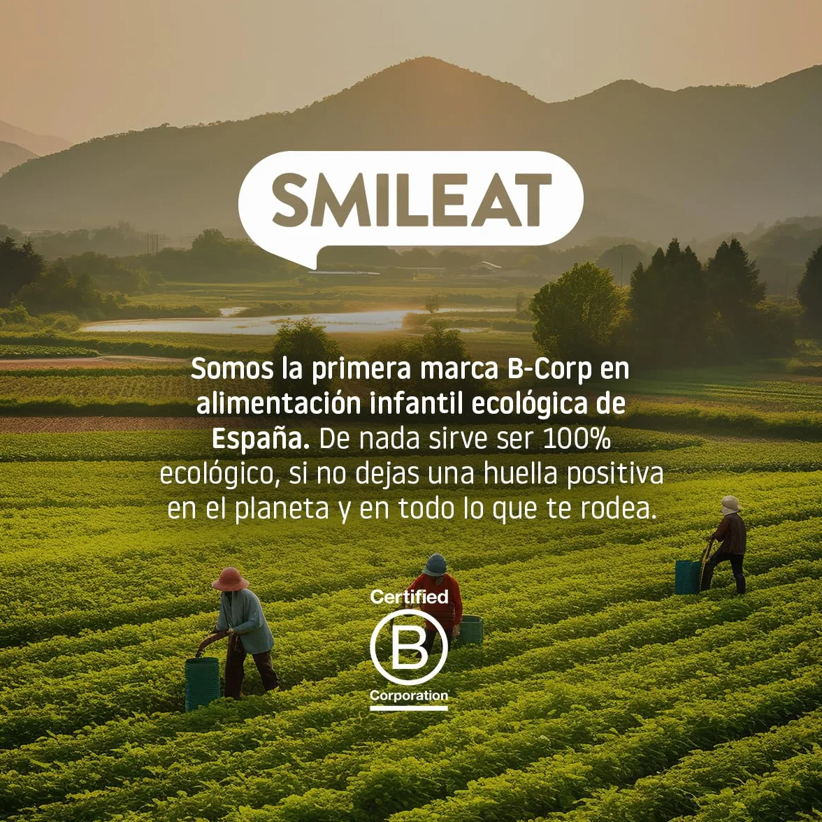 Smileat Panecitos Multicereales Snack +8 Meses Ecológicos Sin Gluten Sin Azúcar Añadido Pack 9 x 60 g