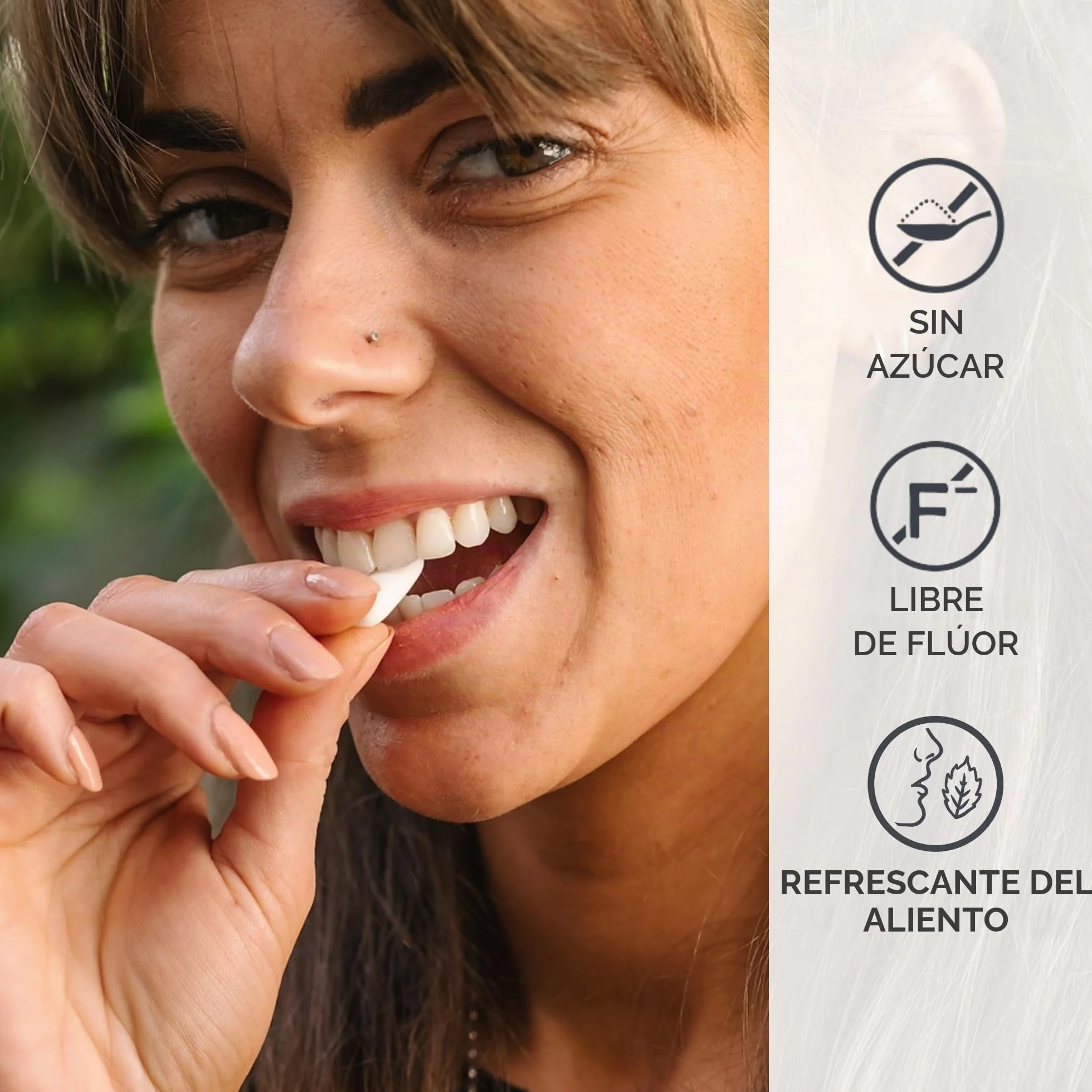 Chicle natural Menta 160uds