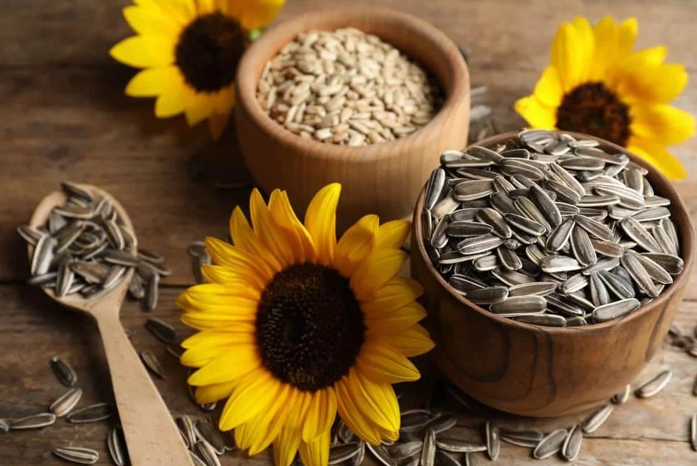 Pipas de girasol Dakota en salmuera 250g