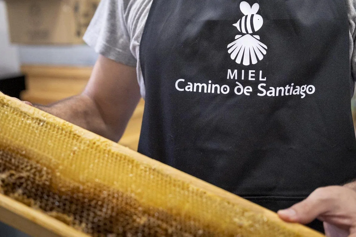 Miel Cruda Pura de Abeja 1 kg - Sin filtrar - Antioxidante - Sales Minerales