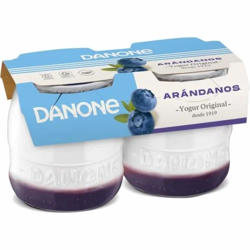 DANONE YOGUR POSTRE ORIGINAL VIDREO 2X130g PACK 6 Und CON ARANDANOS