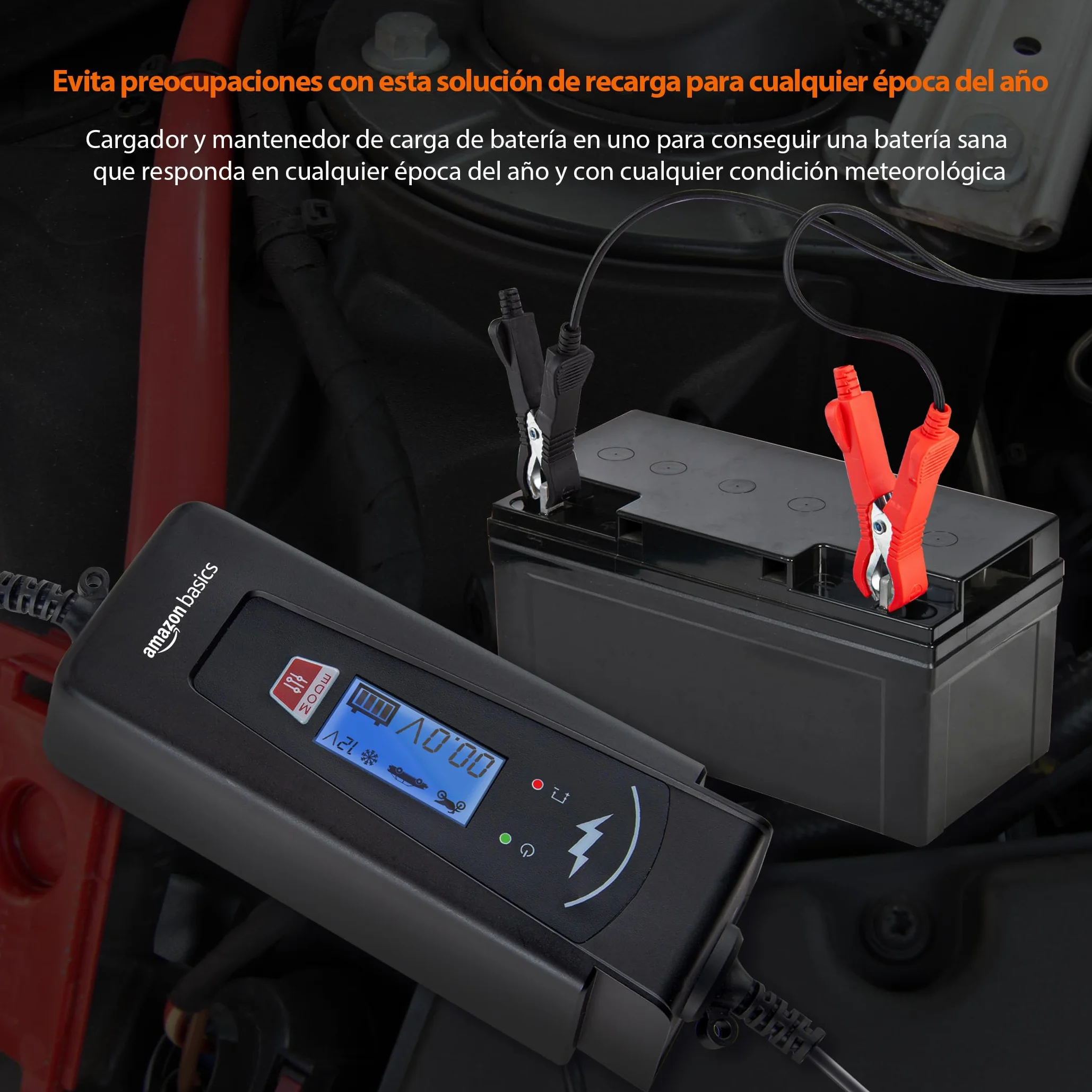 Amazon Basics Cargador de batería inteligente automático con función de probador de batería, enchufe UE, salida : 2A/4A, 6V/12V CC, Negro
