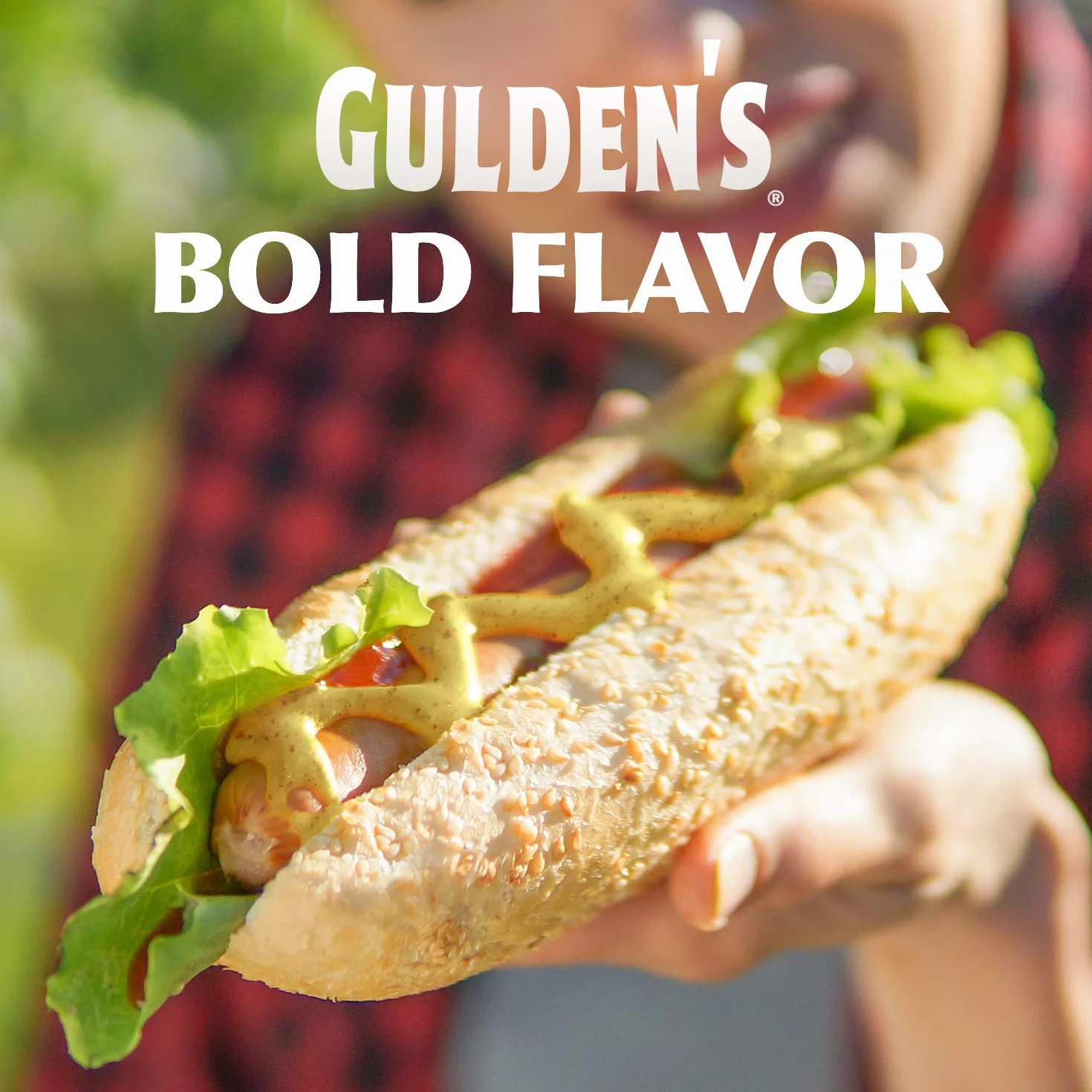 Spicy Brown Mustard 12 oz