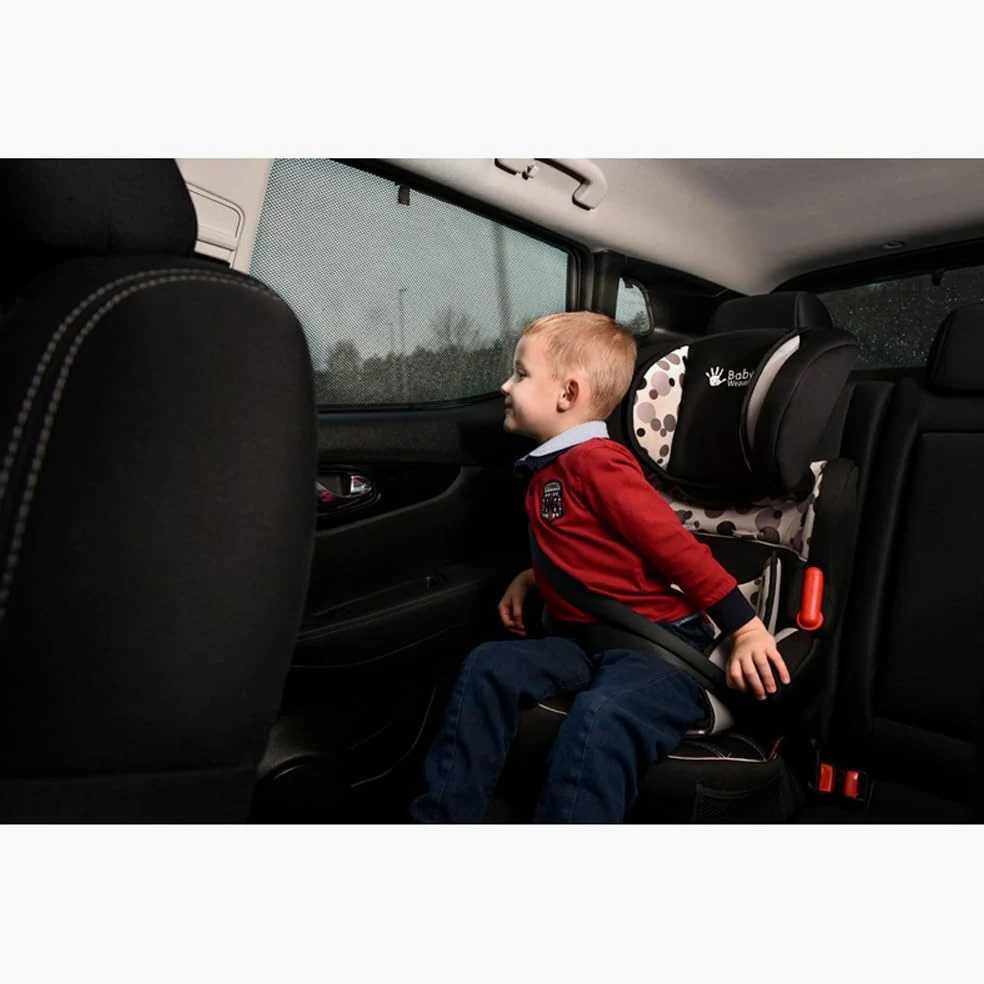 CAR SHADES Juego Compatible con Citroen Berlingo Multispace 2018- (sólo para el portón Trasero con luneta abrible) (6-Partes) cortinillas Parasol a Medida